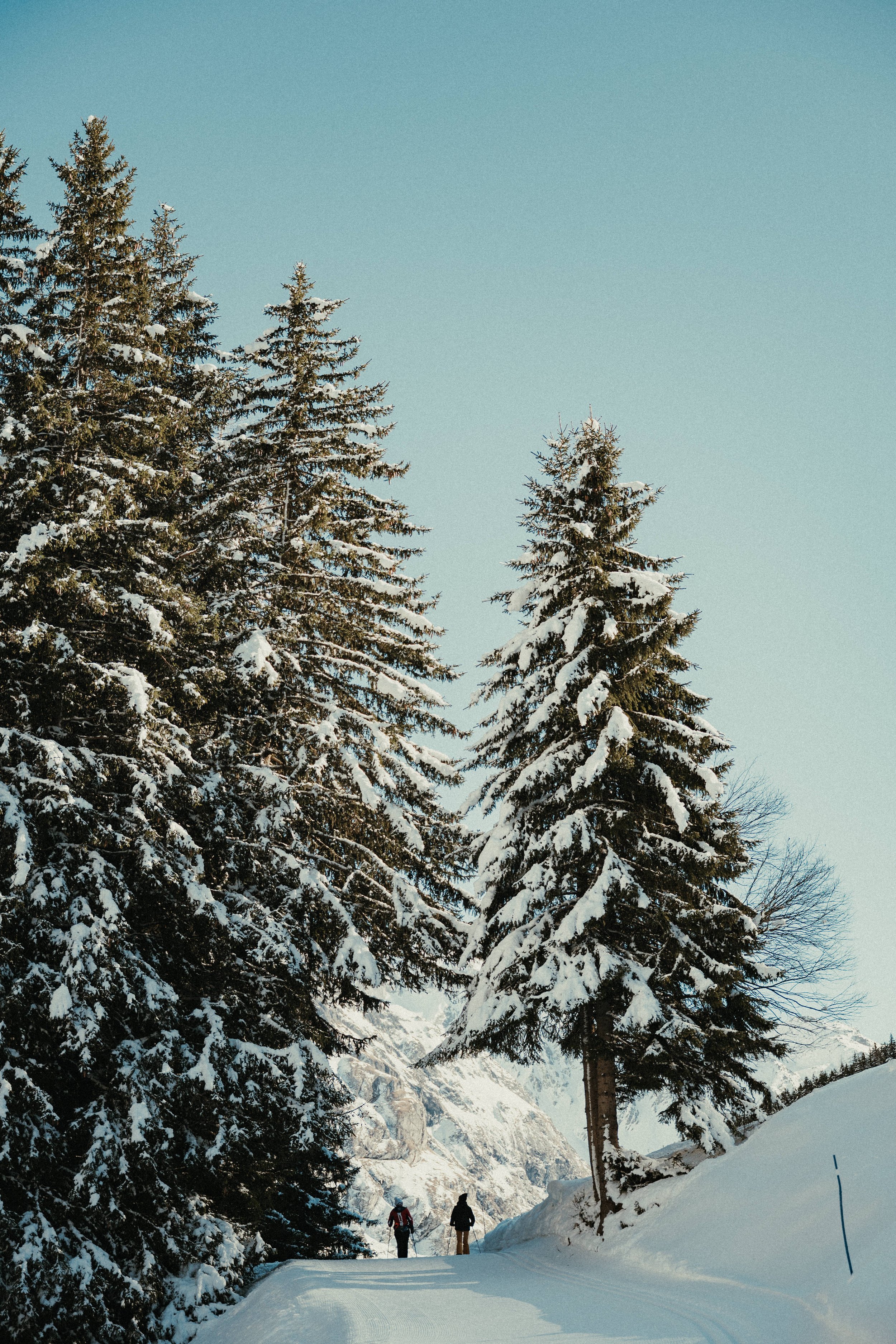 MAM-Champagny-63-9869 - by Chess Bonte.jpg