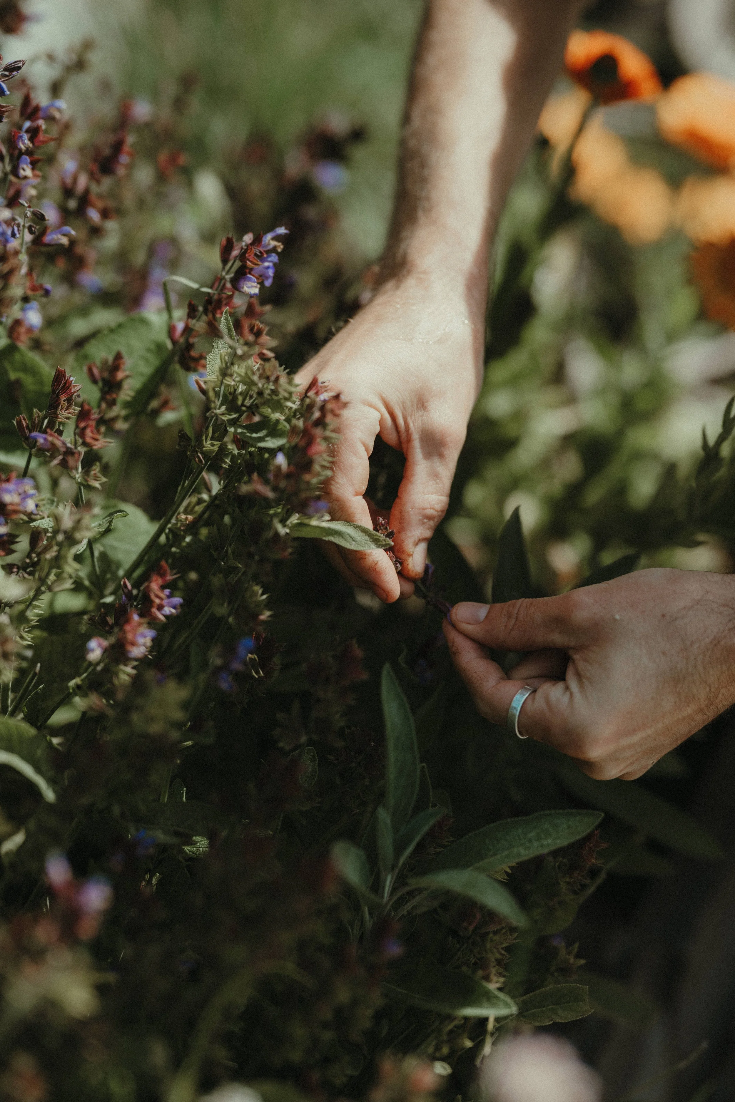 MAM-ValDiTogno-539-8026 - by Chess Bonte.jpg