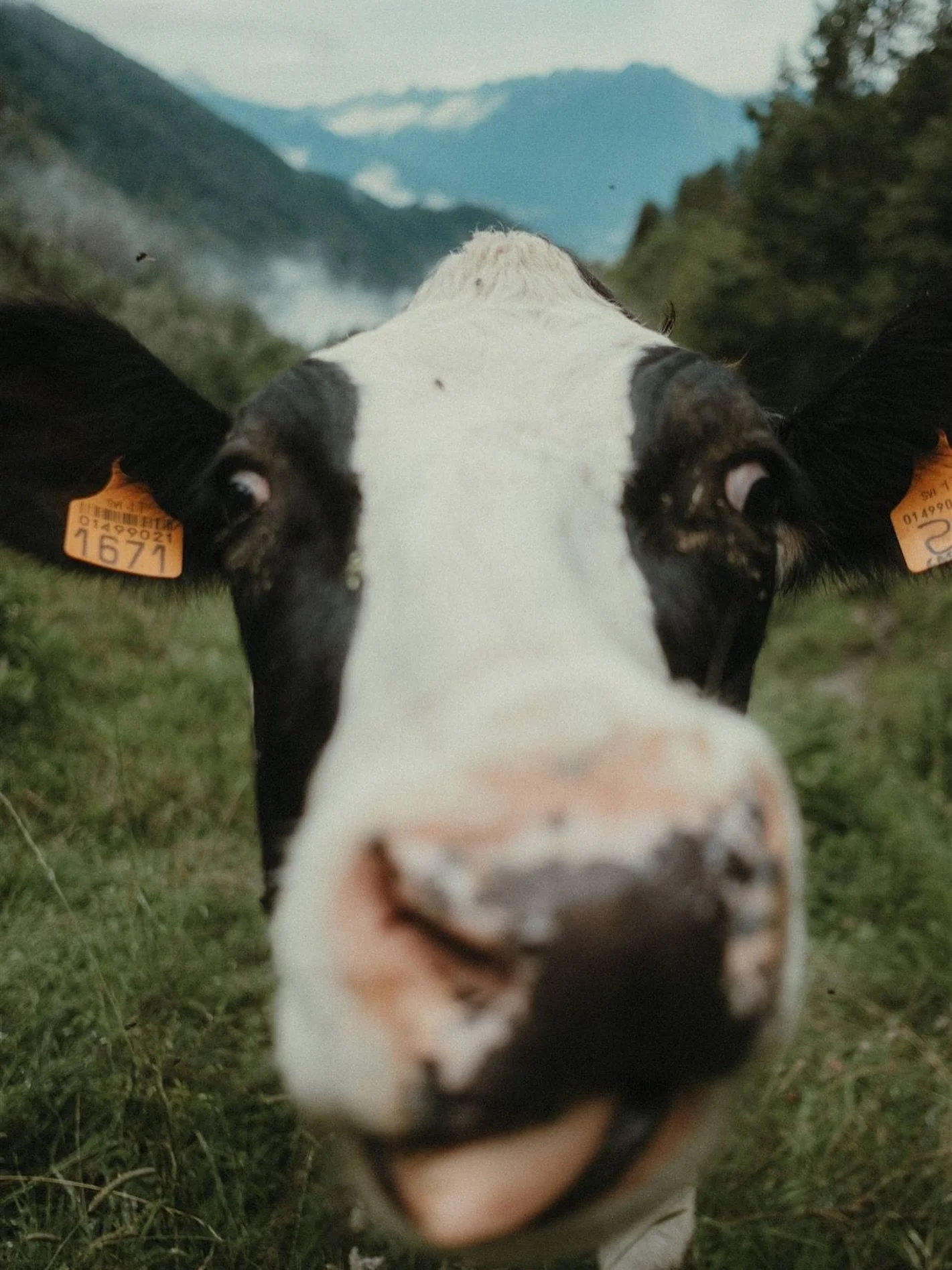 You don&rsquo;t need another busy weekend.
(Okay, maybe sometimes a little loco one 😉)
But this time, you might need space &mdash;
to breathe, to move, to feel the 𝗺𝗼𝘂𝗻𝘁𝗮𝗶𝗻 quiet.

Our 𝗿𝗲𝘁𝗿𝗲𝗮𝘁𝘀 are made for that pause.
For recon