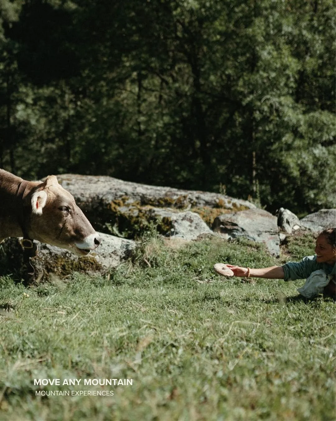 Another episode in the ongoing saga of making friends along the way.
Our not-so-little friend, needless to say, was extremely fluffy, a little shy, and hard not to cuddle.

Safe to say he didn&rsquo;t fit in our bags. Maybe out of sight, but never ou