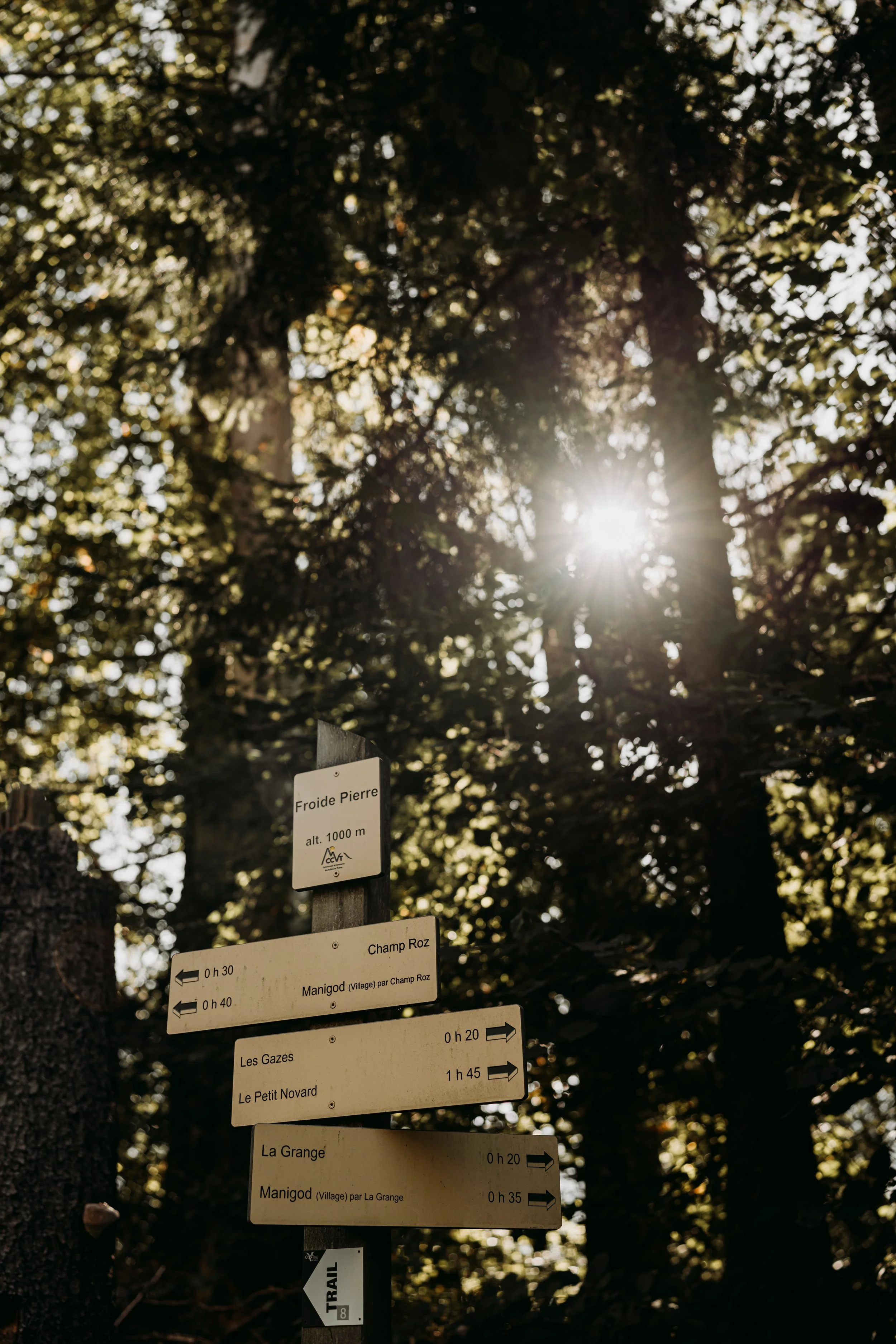 Move Any Mountain - 174 - by Kaat DM.jpg