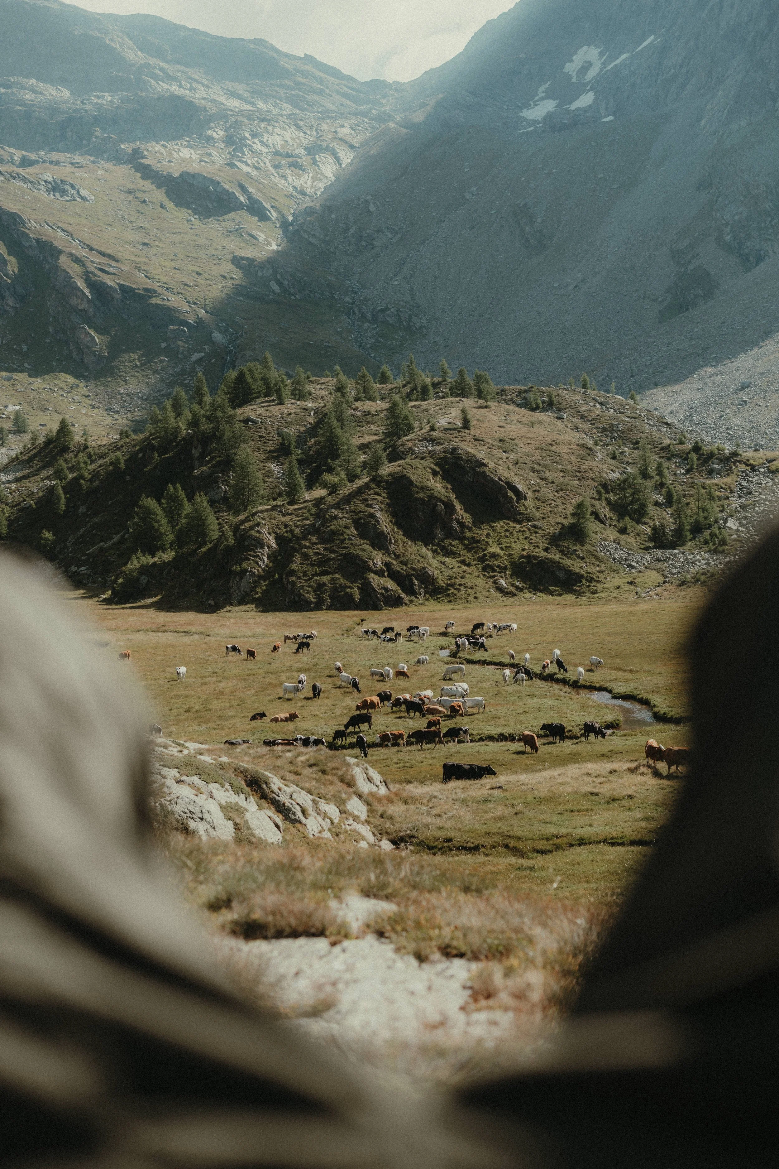 MAM-ValDiTogno-417-5525 - by Chess Bonte.jpg