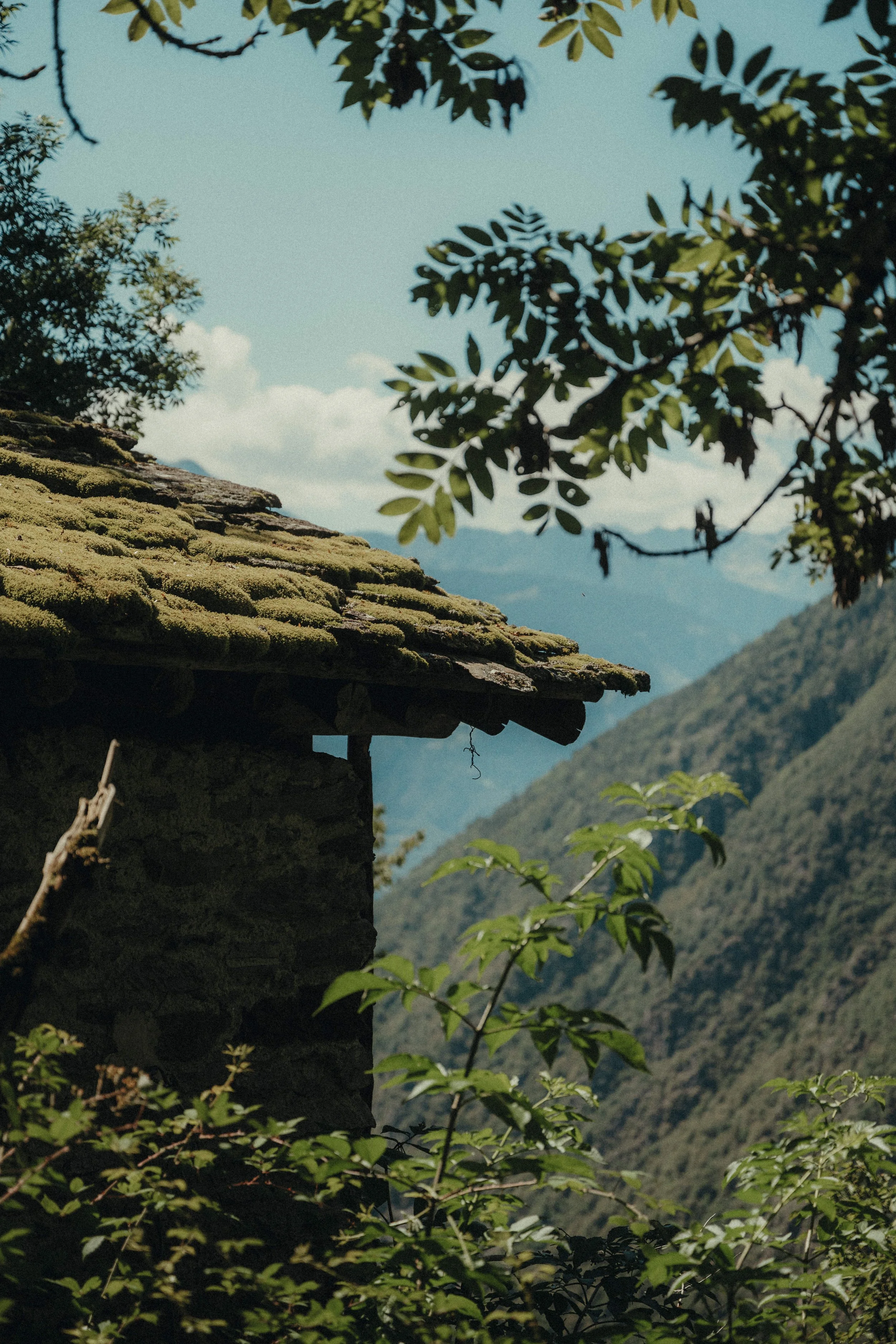 MAM-ValDiTogno-145-4378 - by Chess Bonte.jpg