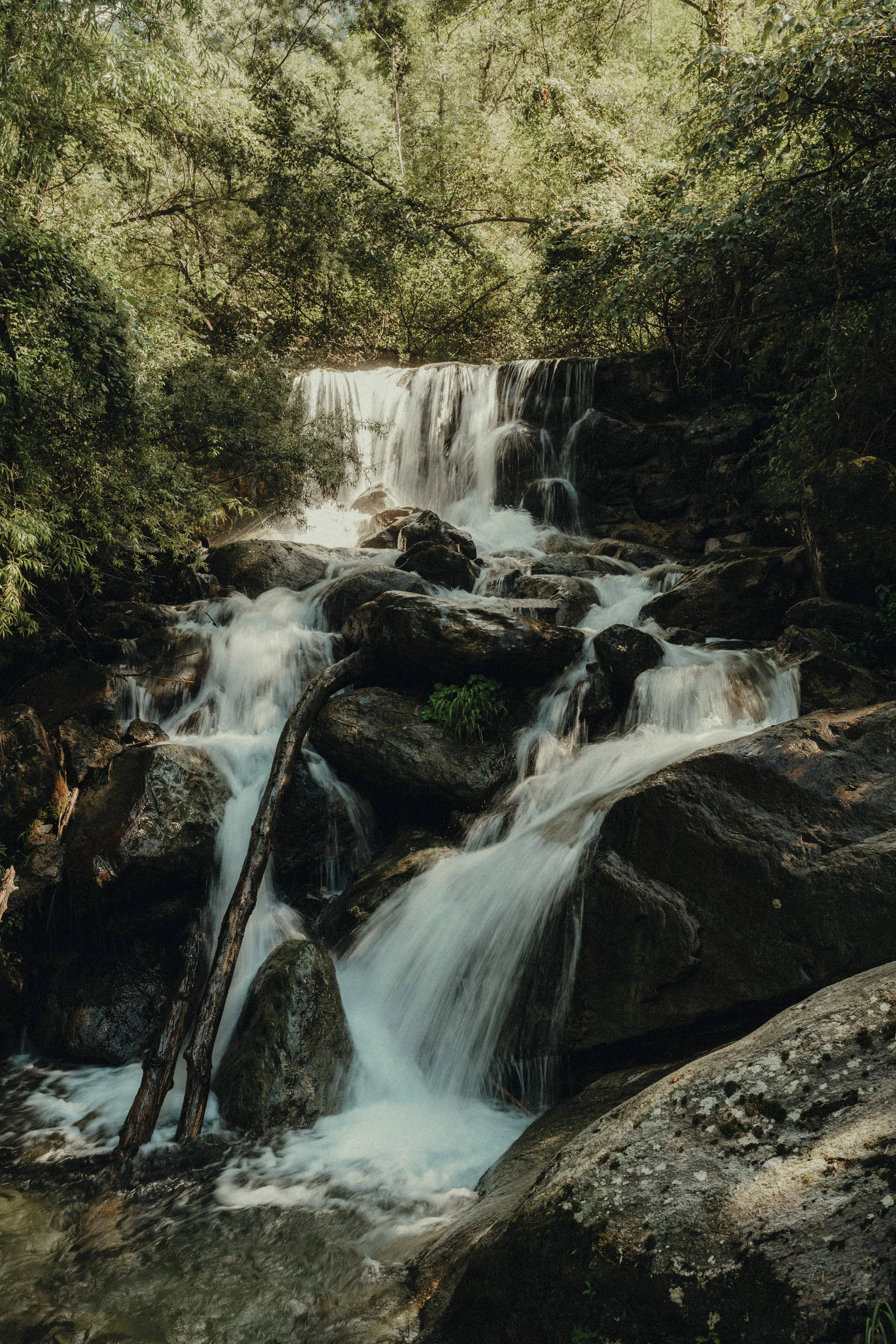 MAM-ValDiTogno-125-4292 - by Chess Bonte.jpg