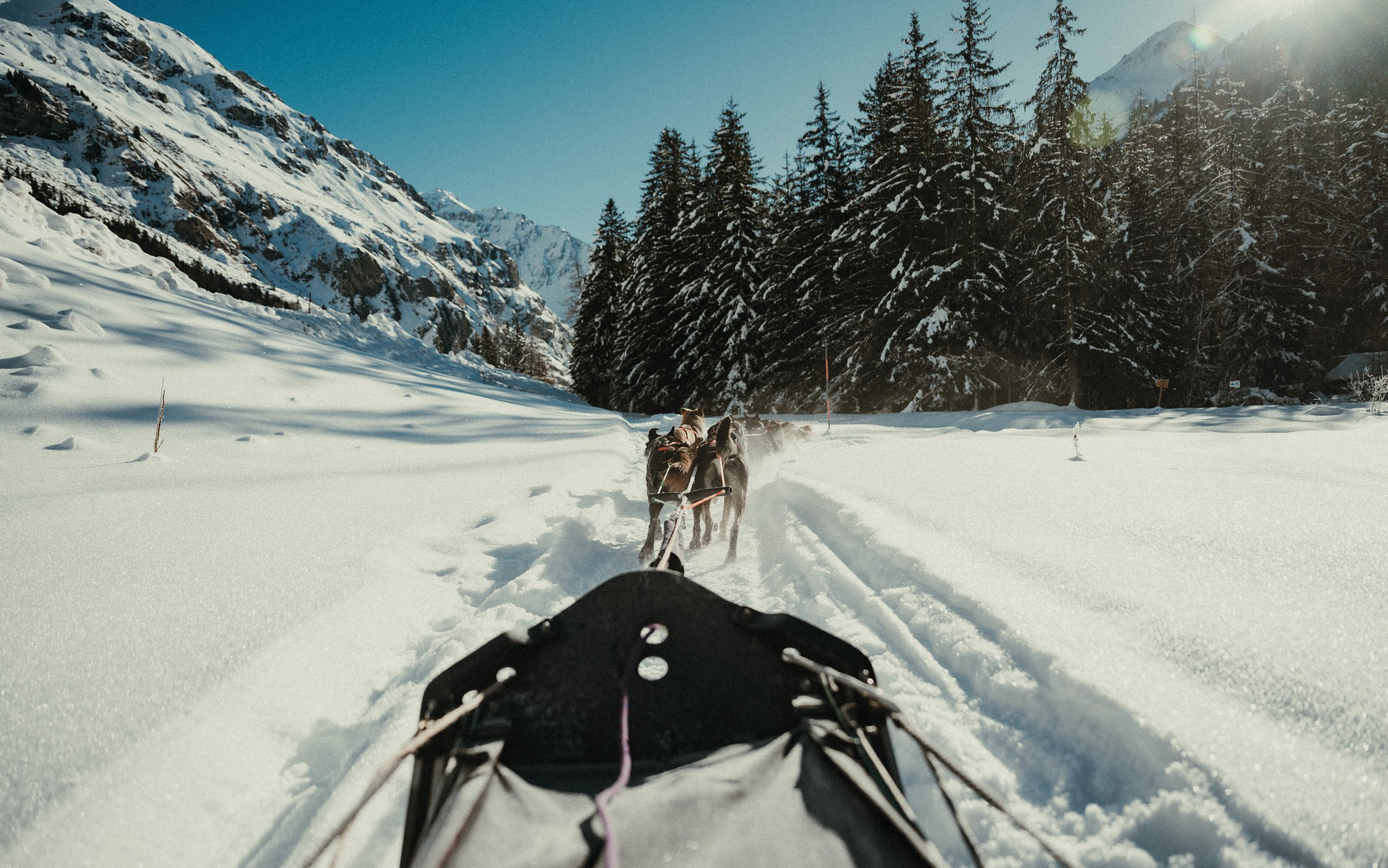 MAM-Champagny-26-6054 - by Chess Bonte.jpg