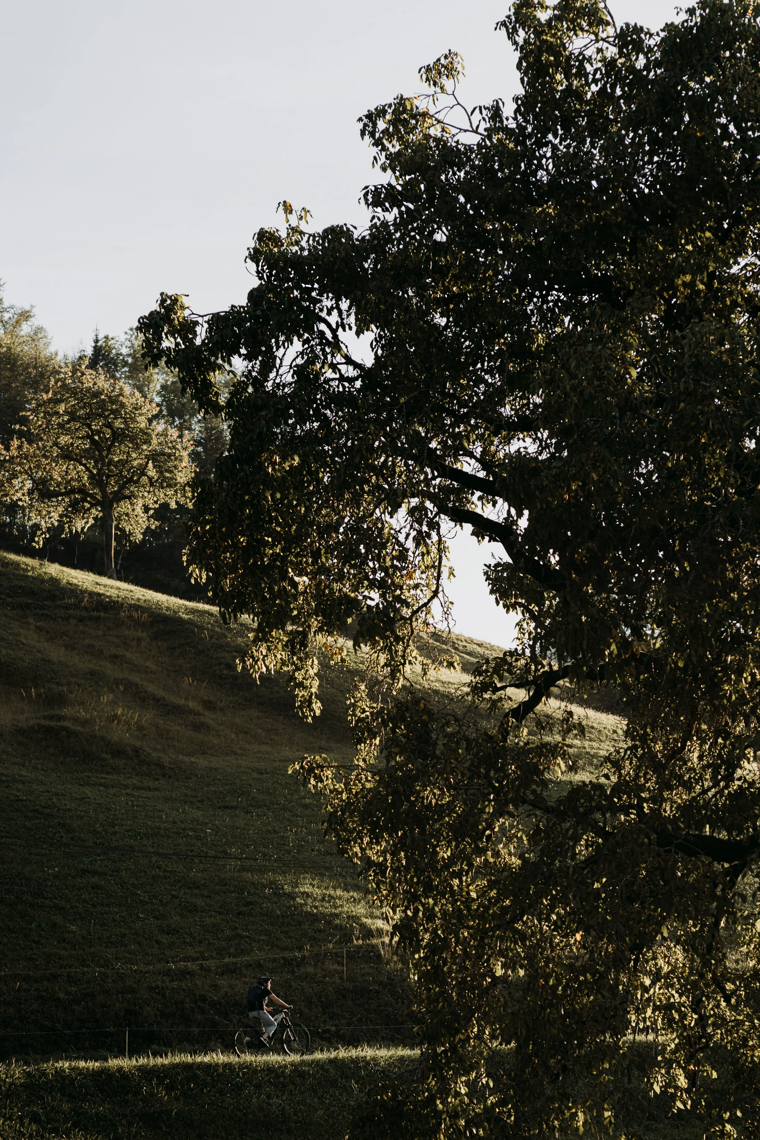 Move Any Mountain - 233 - by Kaat DM.jpg