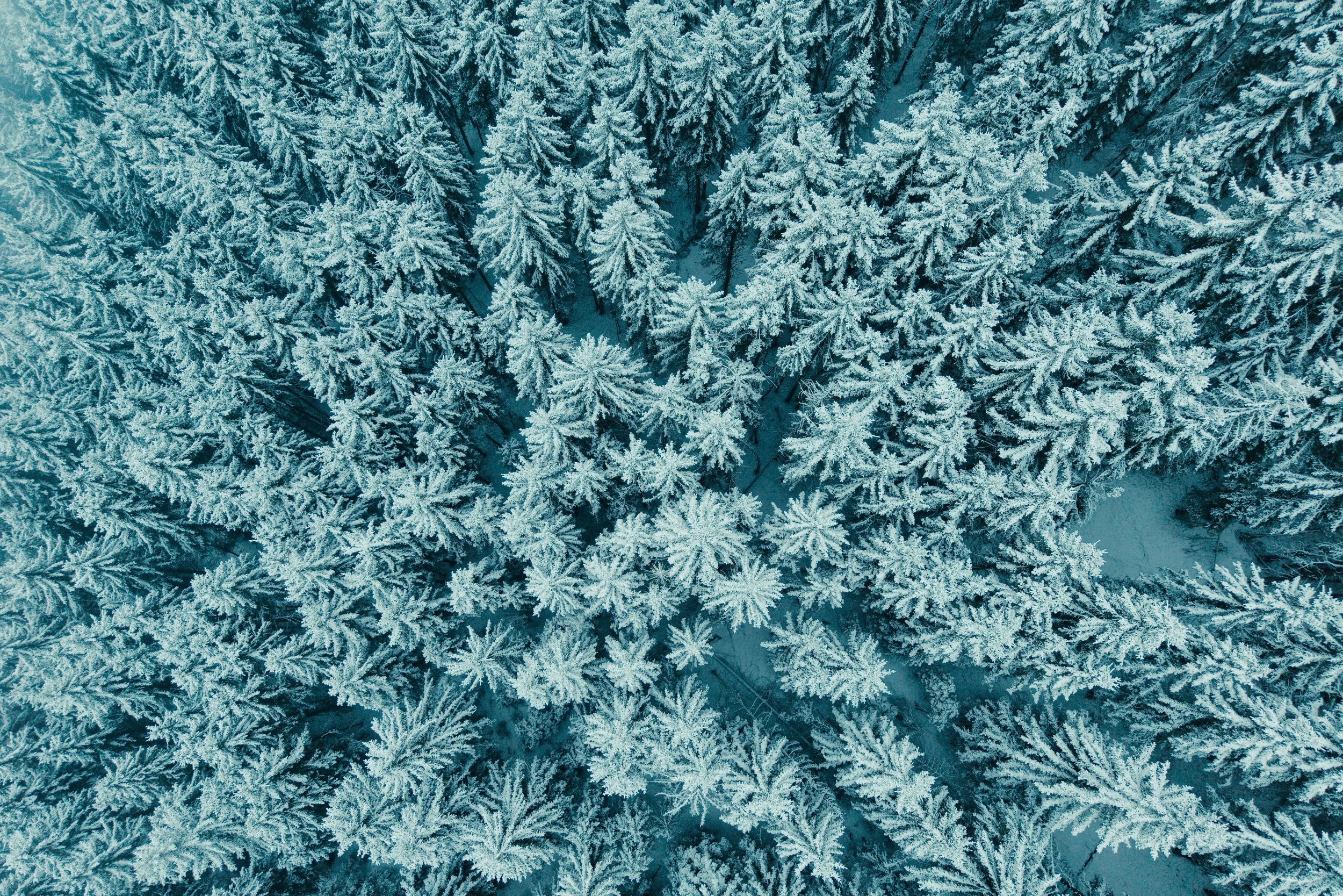 Airmaster-7- - by Chess Bonte.jpg