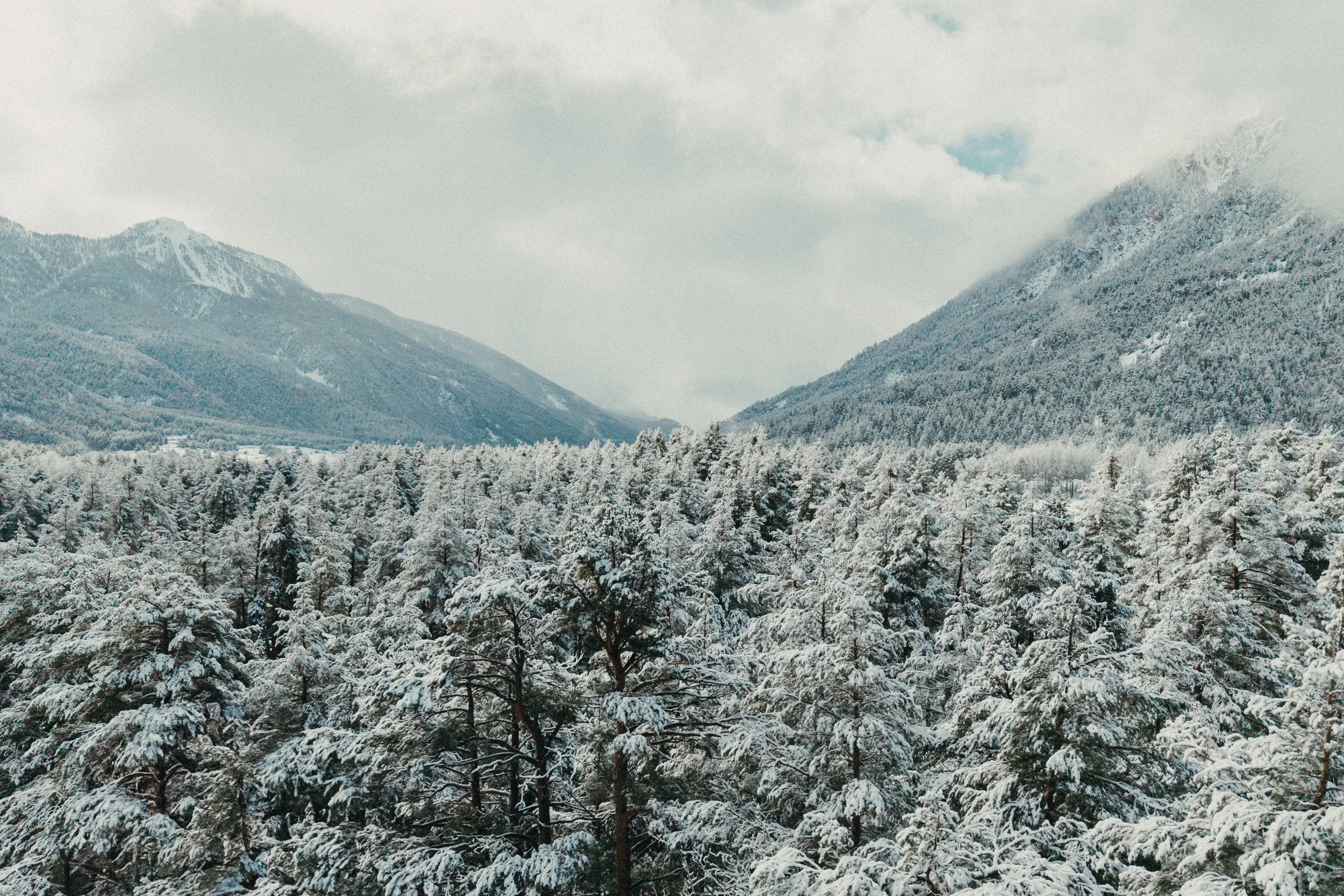 MAM-Champagny-3- - by Chess Bonte.jpg