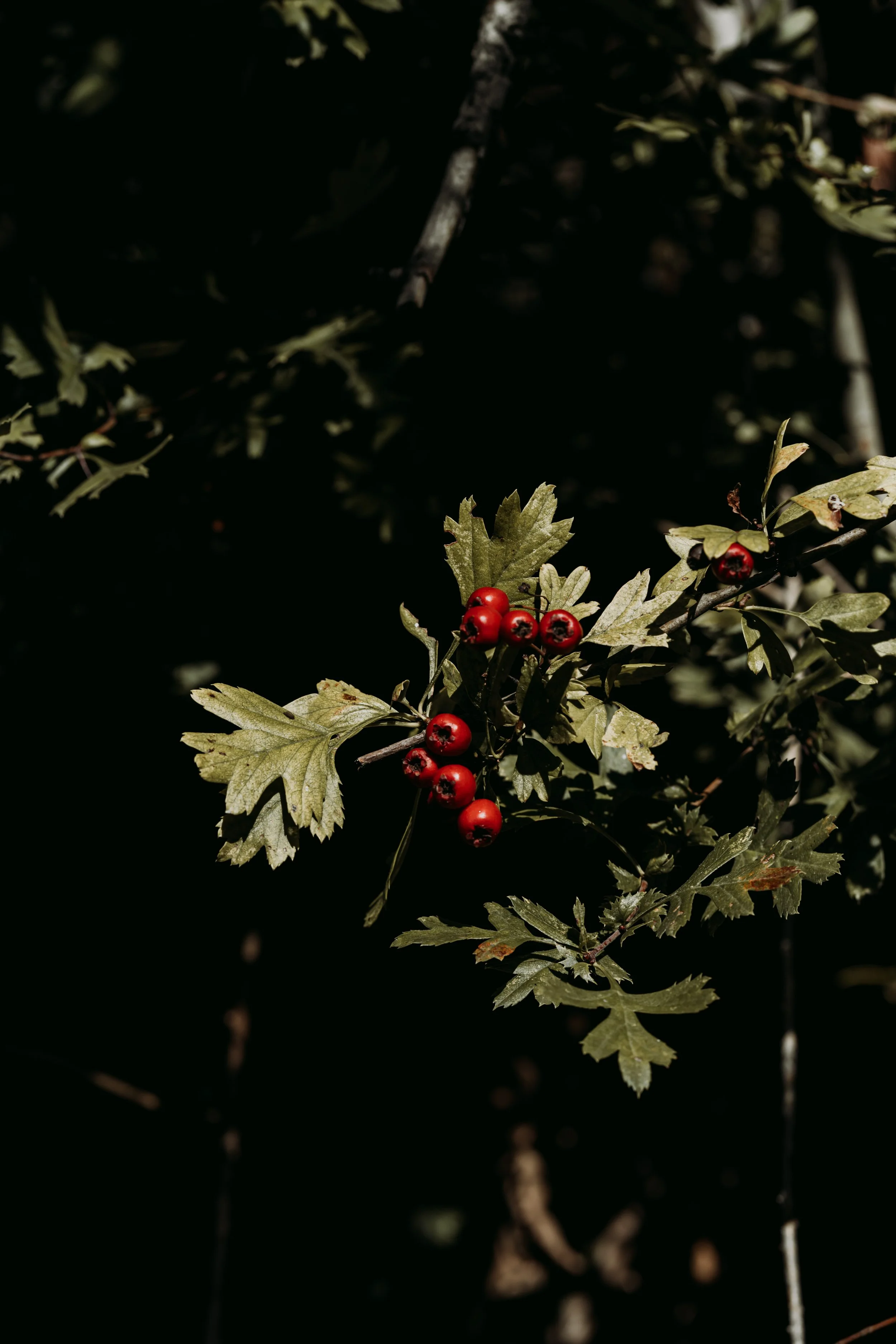 Move Any Mountain - 160 - by Kaat DM.jpg