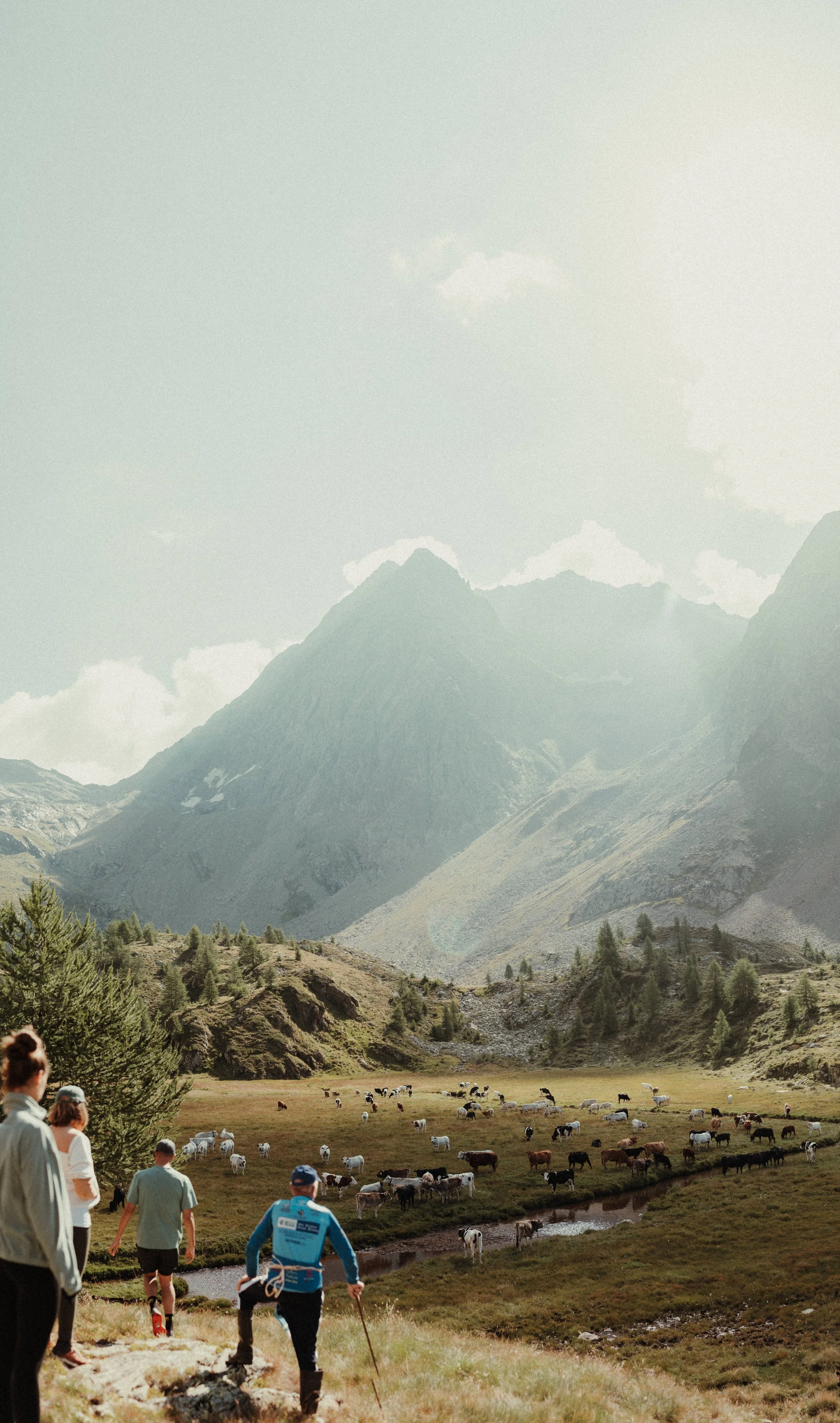 MAM-ValDiTogno-421- - by Chess Bonte.jpg