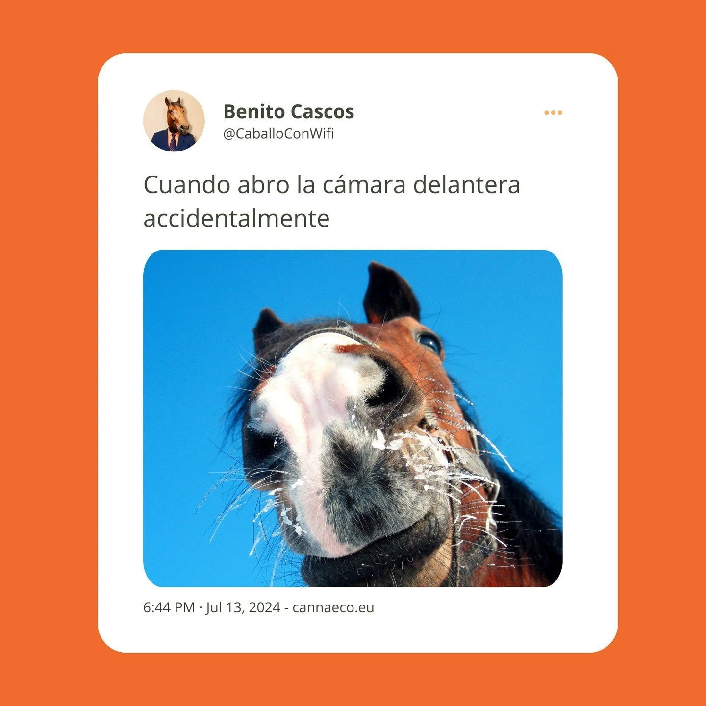 🤳 #CannaHorse