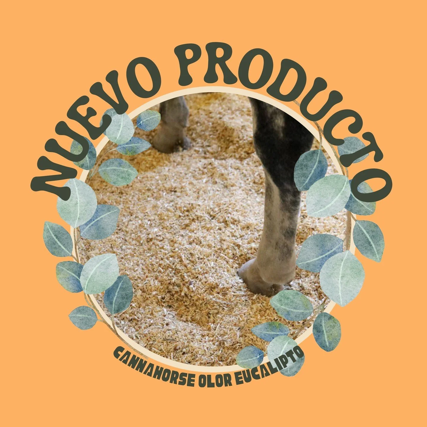 Pisadas frescas, lecho renovado. 🐎🌱 Prueba nuestro Cannahorse con un toque de eucalipto y transforma la experiencia de tus animales. #EucaliptoLove #HempFresh