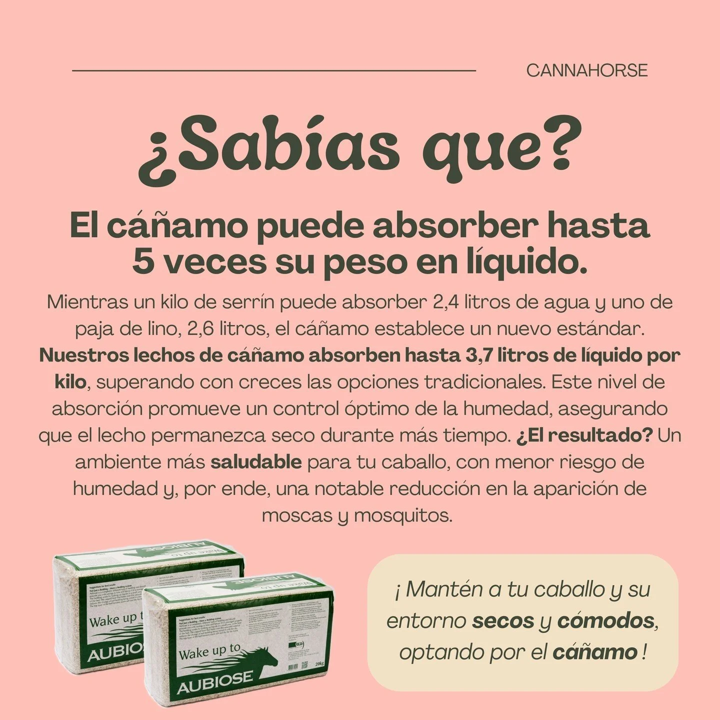 Fun fact: ¡El cáñamo es más absorbente que el serrín y la paja! 💧 Con Cannahorse, tu caballo y tú pueden olvidarse de los problemas de humedad. 🐎✨ #SabíasQue #EcoEquino #CannaHorse