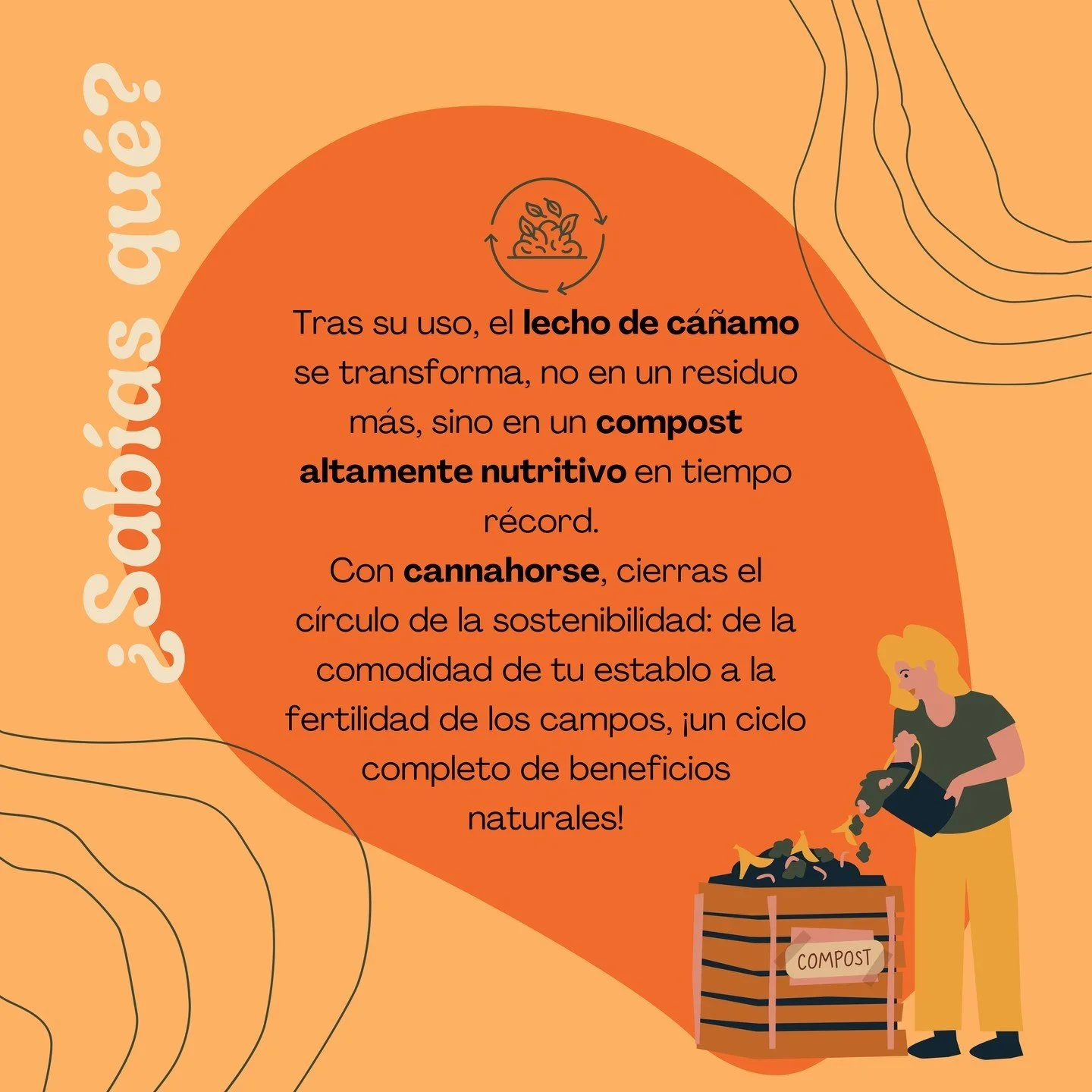 ¿Sabías que...? 🤔 Después de usarlo, el lecho de cáñamo se convierte en compost nutritivo. 🍂 Con Cannahorse, la sostenibilidad es más que una palabra: es un ciclo completo. 🌱♻️ #EcoSostenible #Círcu