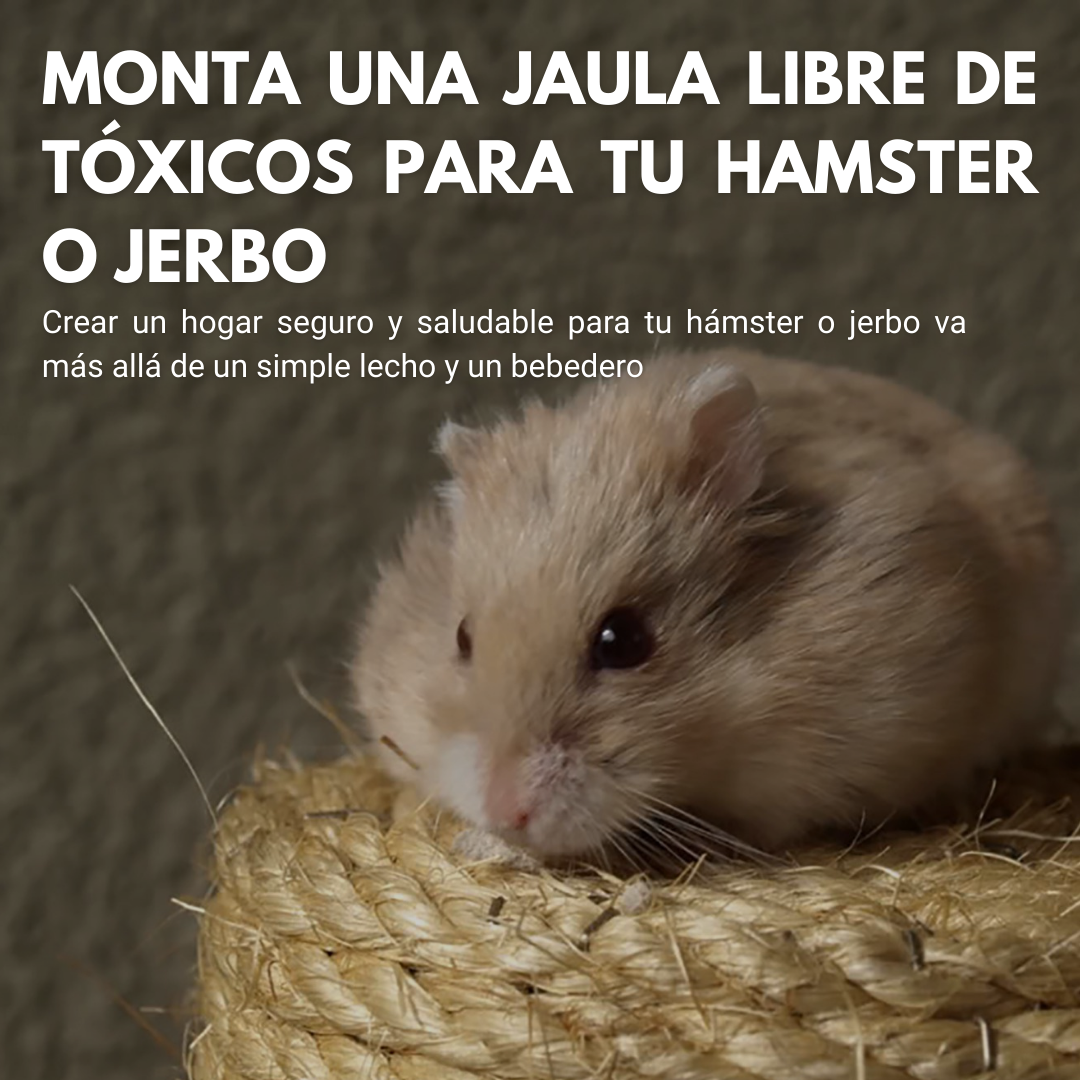 Guía Esencial: Monta una Jaula Libre de Tóxicos para tu Hámster o Jerbo