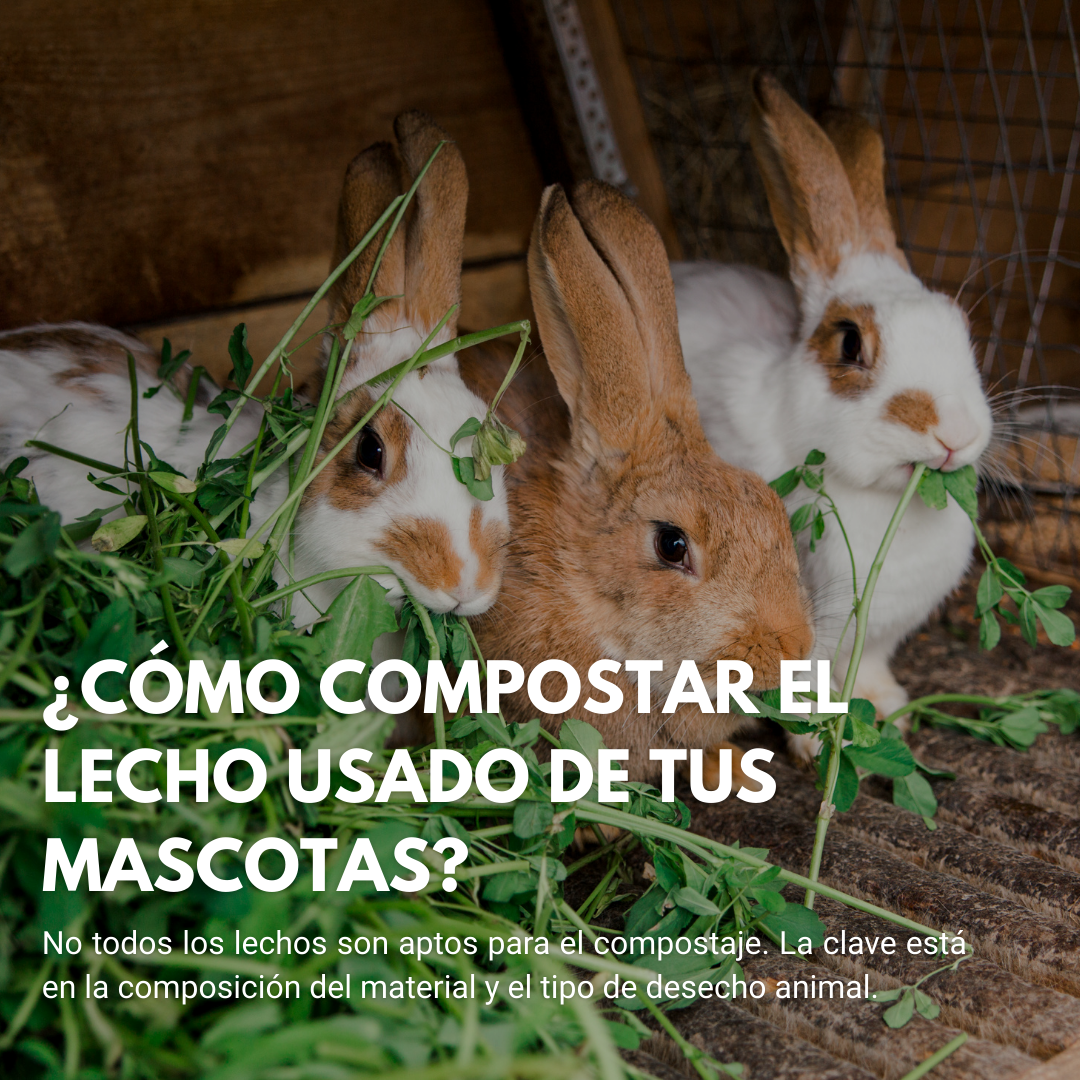 Cómo Compostar el Lecho Usado de Tus Mascotas (Sin Olores Ni Problemas)