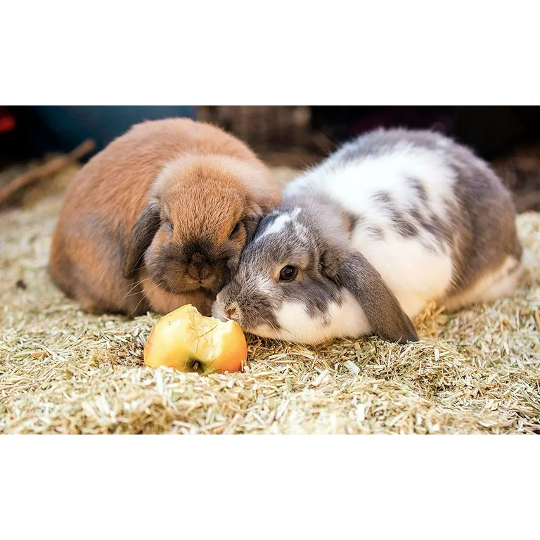 Dos conejitos de diferentes colores junto a una manzana sobre un lecho de cáñamo.