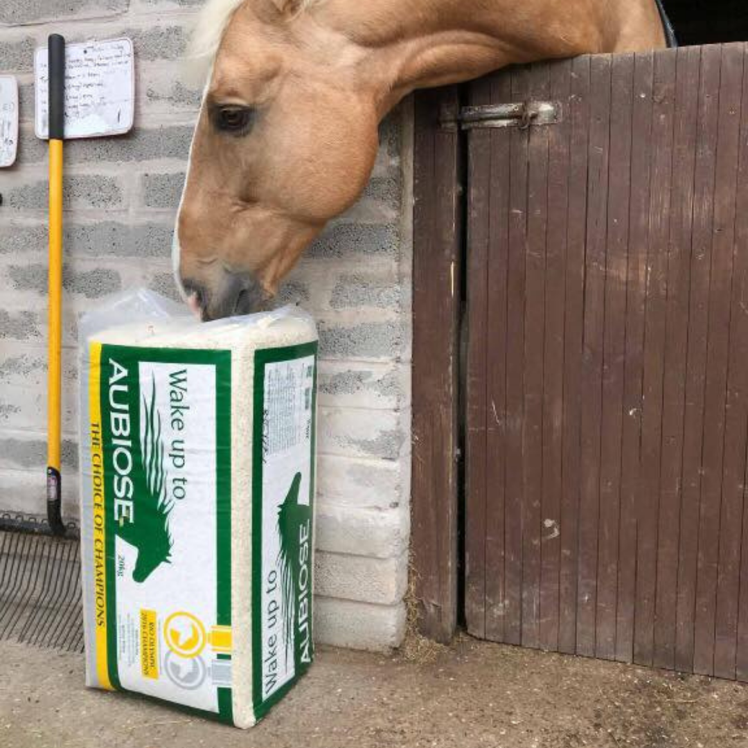 Un caballo mordiendo un saco cañamo para lechos AUBIOSE.