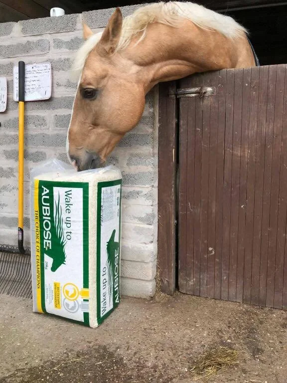 Un caballo mordiendo un saco cañamo para lechos AUBIOSE.