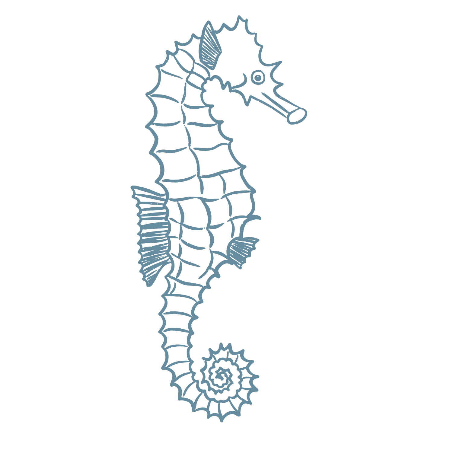 Outline of a seahorse with a curled tail, spiny back, and distinctive snout, drawn with light blue lines on a black background.