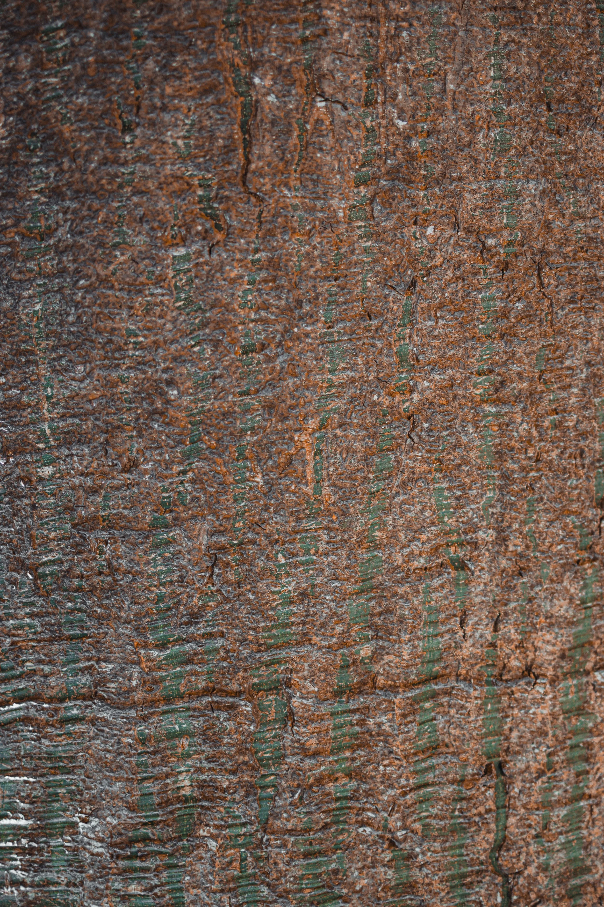 Close-up of a rusted, textured metal surface with peeling green paint.