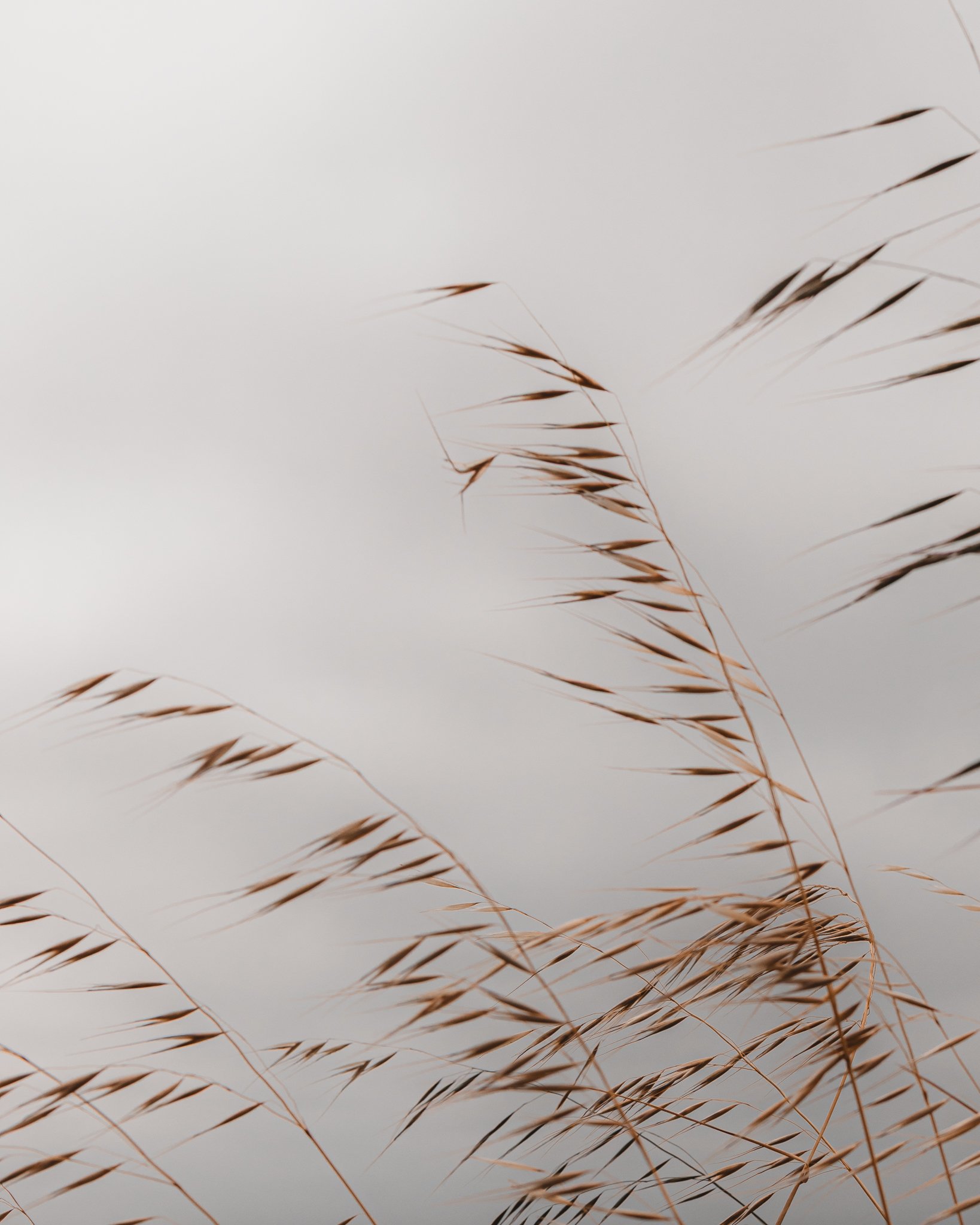 Photography as a Mindful Practice