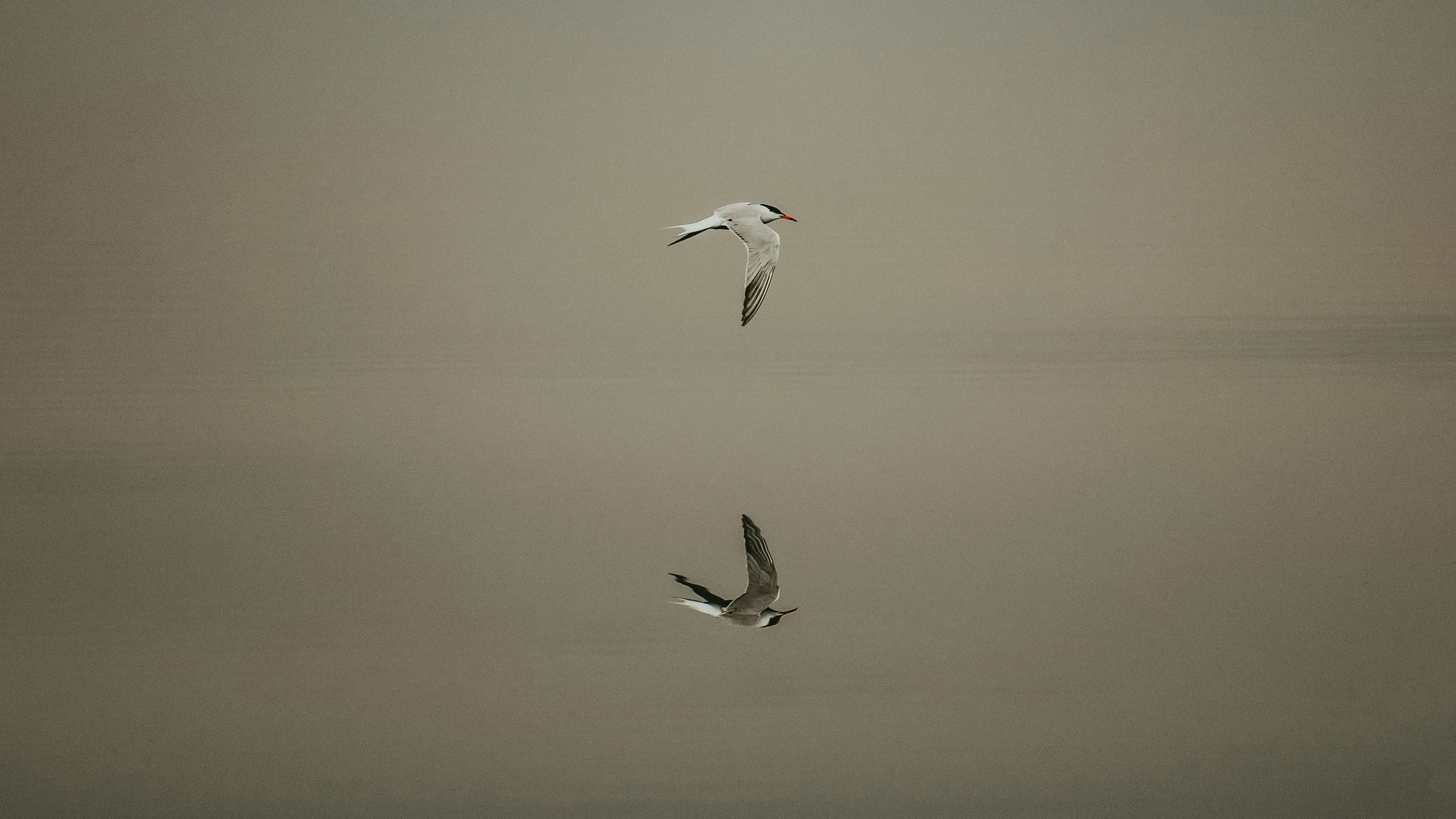 The Magic of Silence