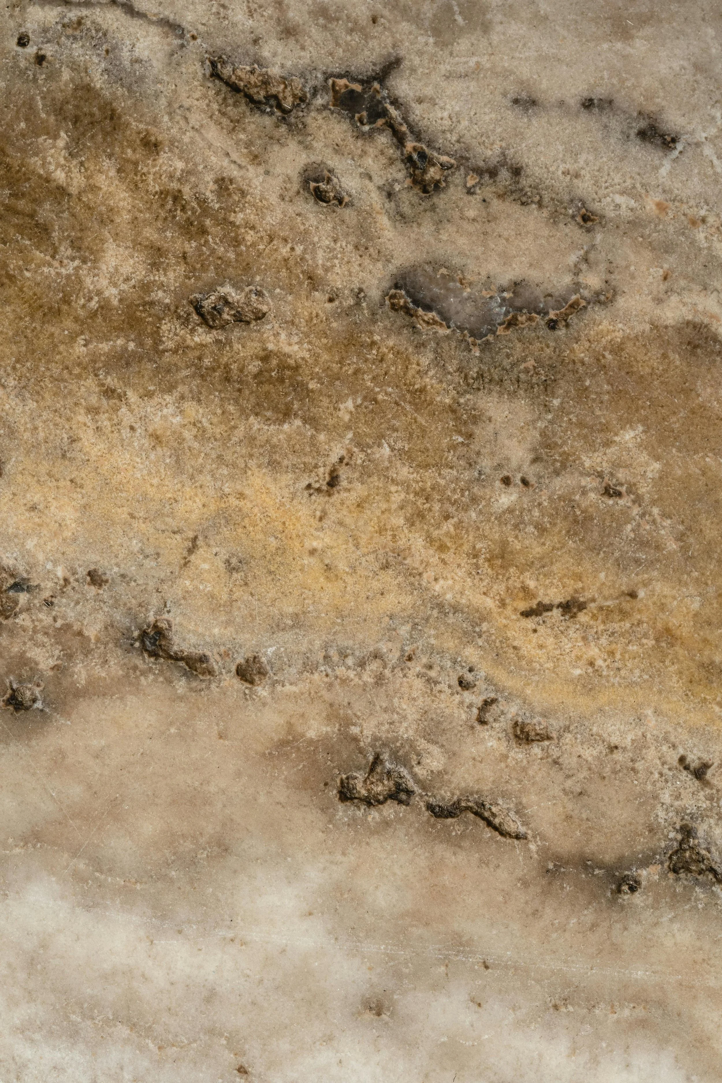 Close-up view of a textured, sandy-colored surface with small cracks, bumps, and irregularities.