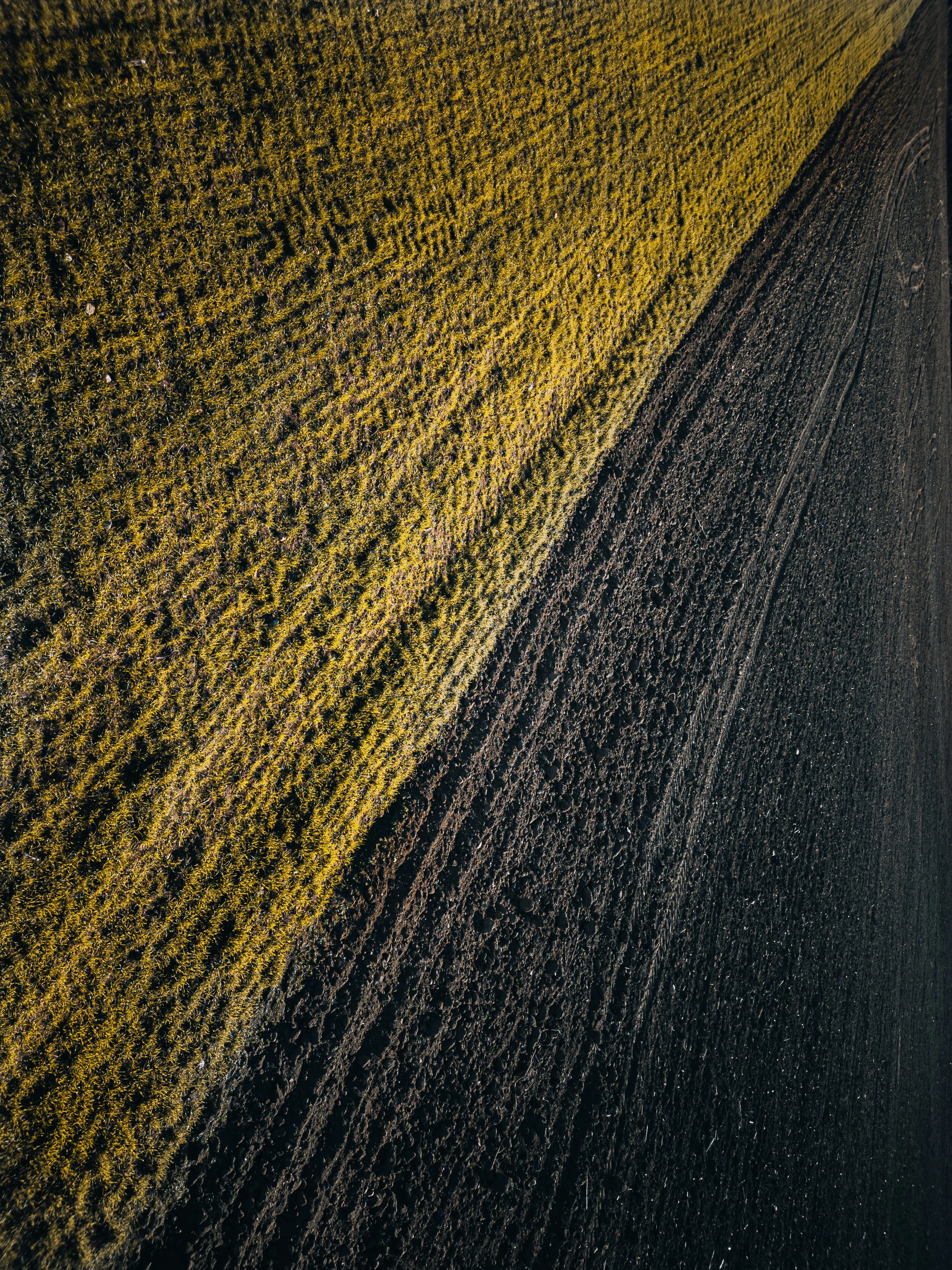 Aerial view of a field with two different types of crops, one side green and the other side dark brown, separated by a diagonal line.