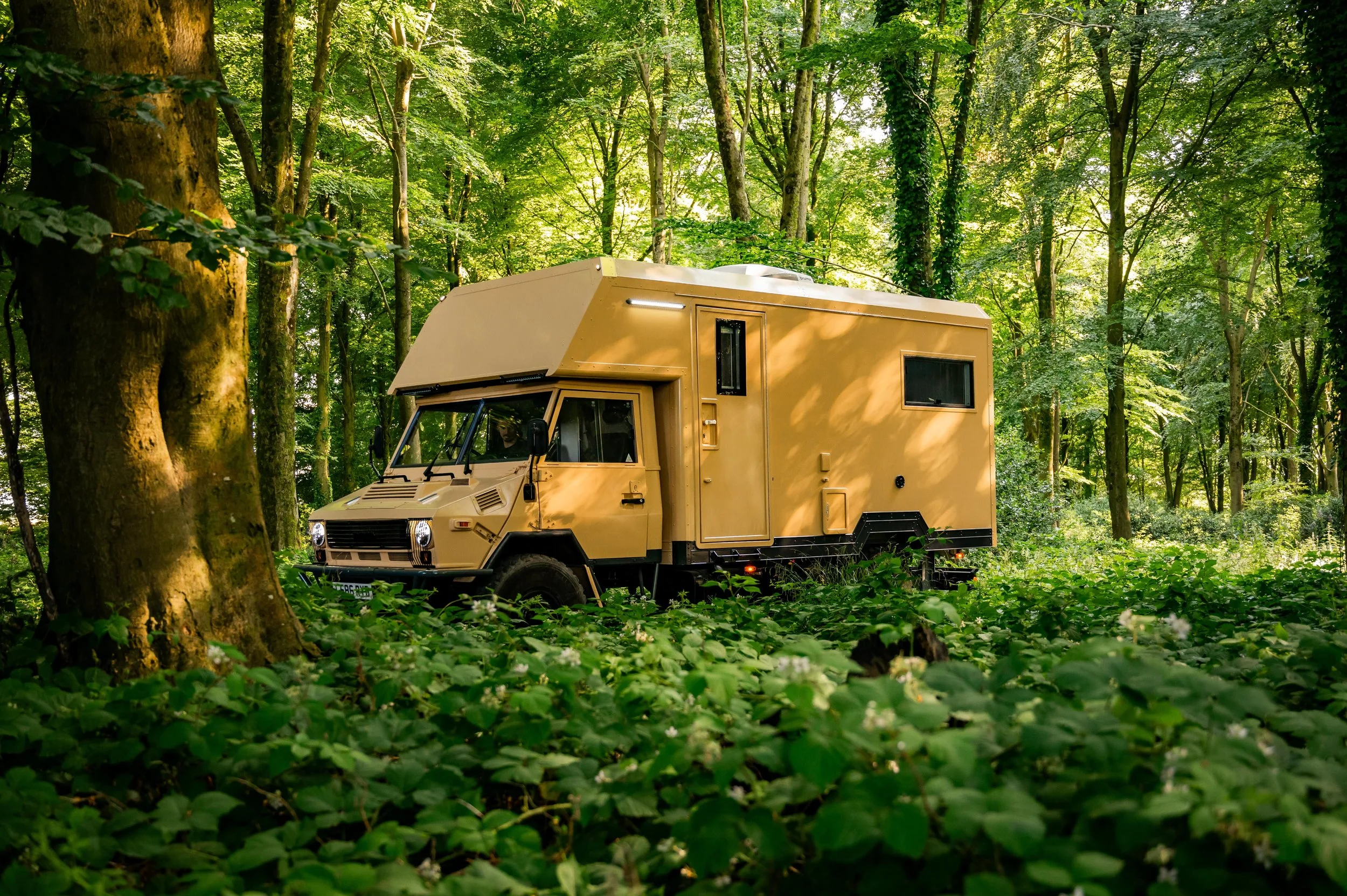 A beige camper van parked in a lush green forest with tall trees and thick foliage.