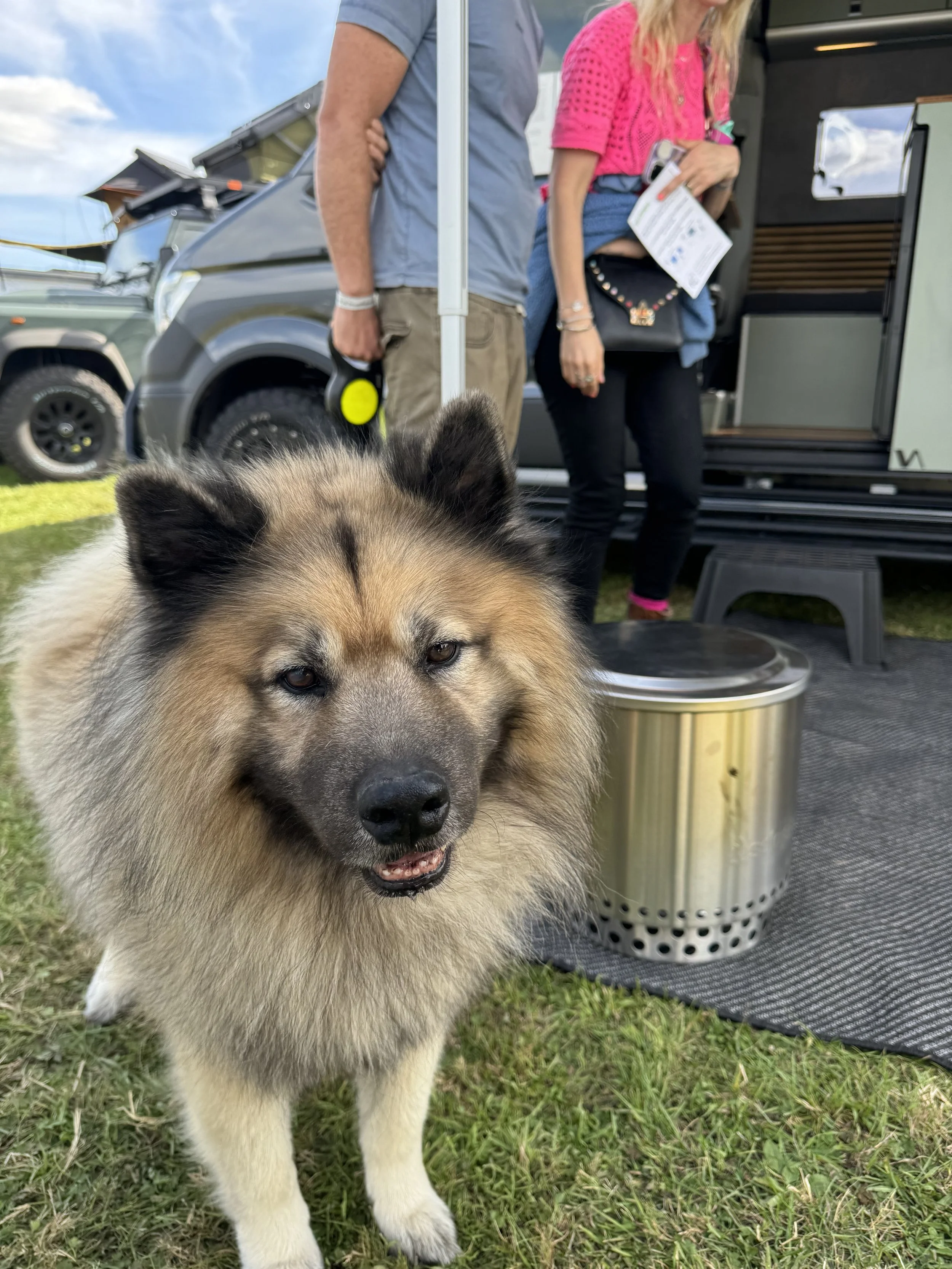 Close-up of a fluffy, brown and black dog with a relaxed expression, standing on grass at an outdoor event. In the background, two people are talking near a camper, one person holding a leash and the other holding a brochure.