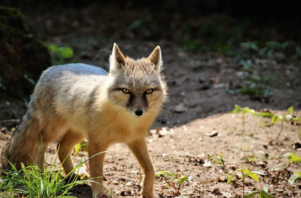 Natur- und Tierpark Brüggen