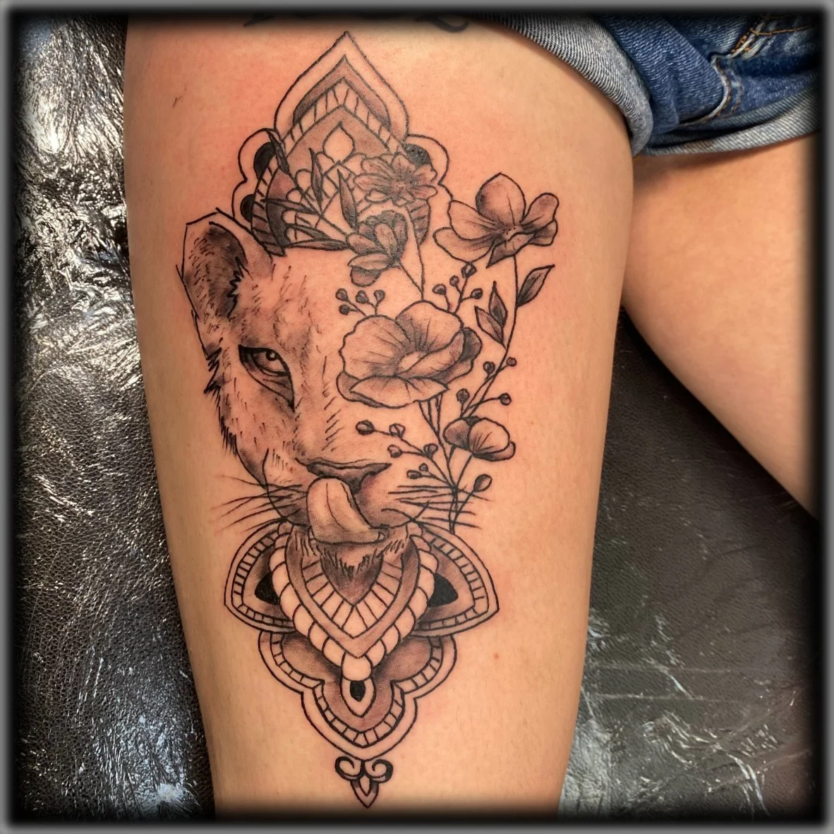 instagram post lioness.jpg