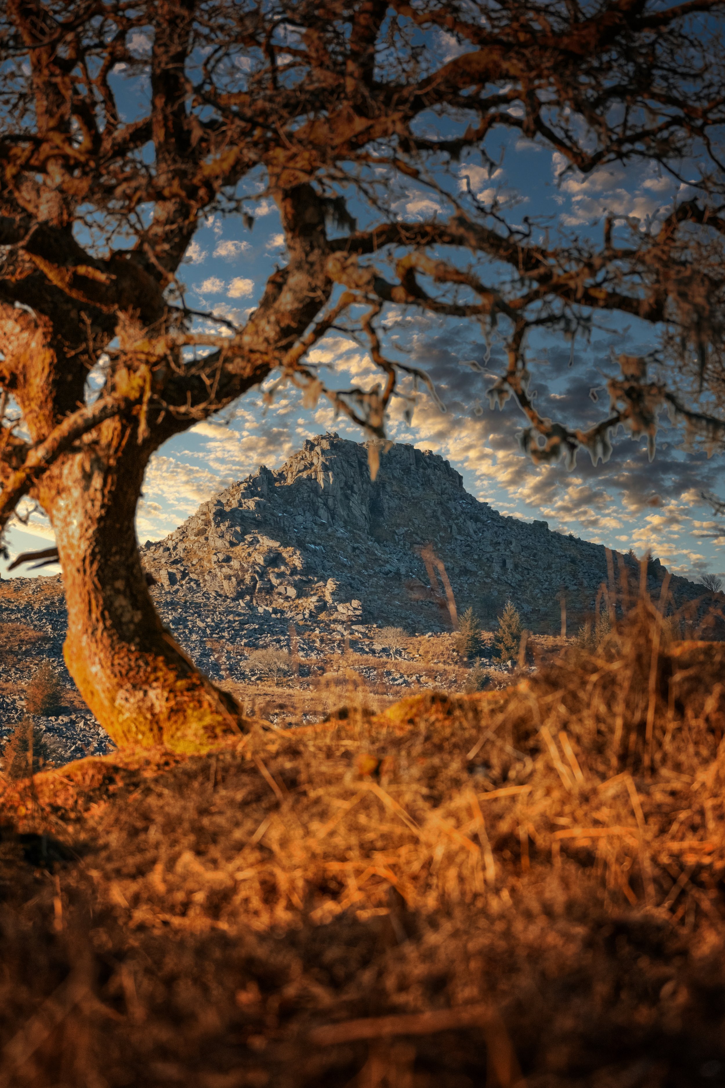 Dartmoor_SheepsTor (10 of 13).jpg