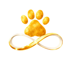 The End of Paw Prints - EOP logo of a  golden paw print with five fingers sitting on a reflective surface, with a gold infinity symbol below it.