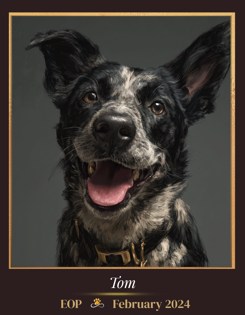 A brass nameplate engraved with a dog's name and dates