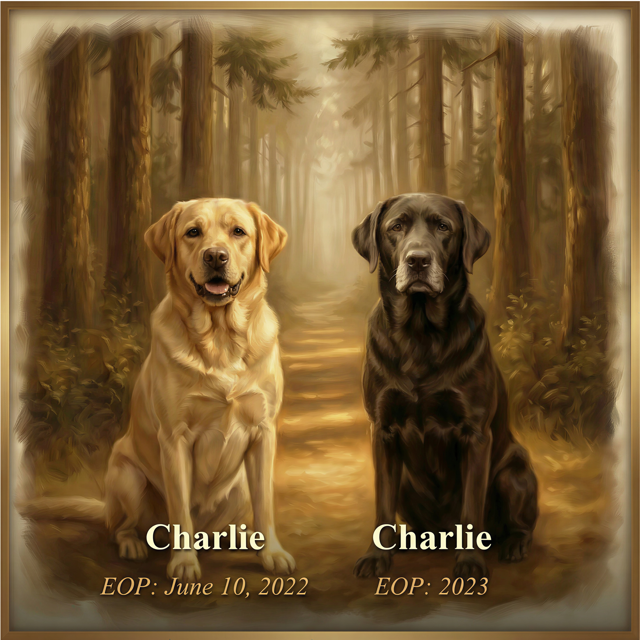A picture of a yellow labrador and a charcoal labrador guarding the forest path.