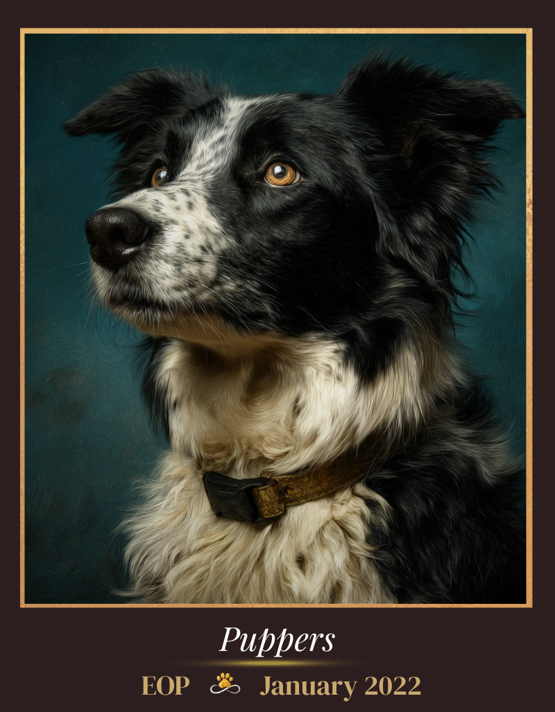 Ziva - EOP: January 2022