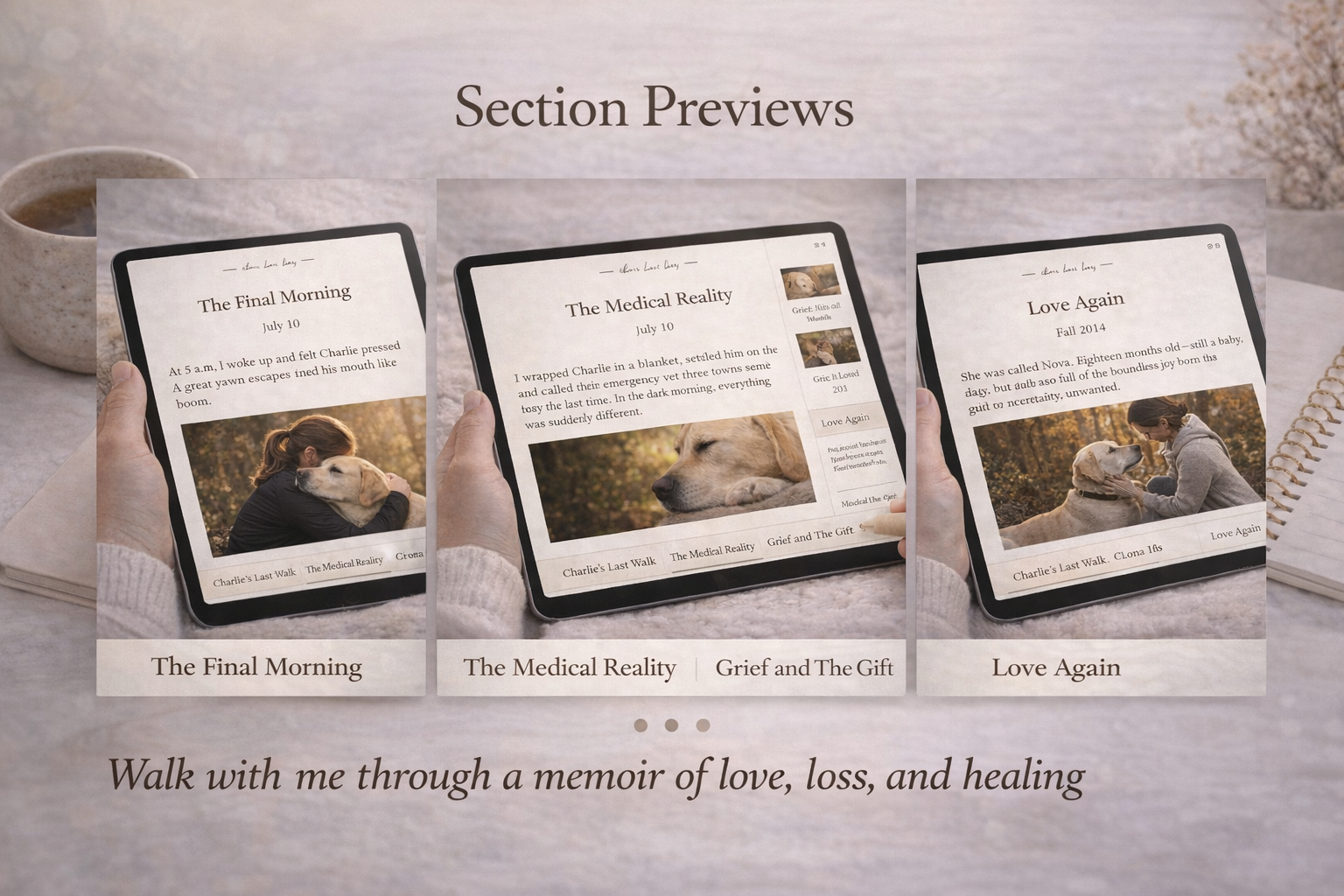 Section previews.png