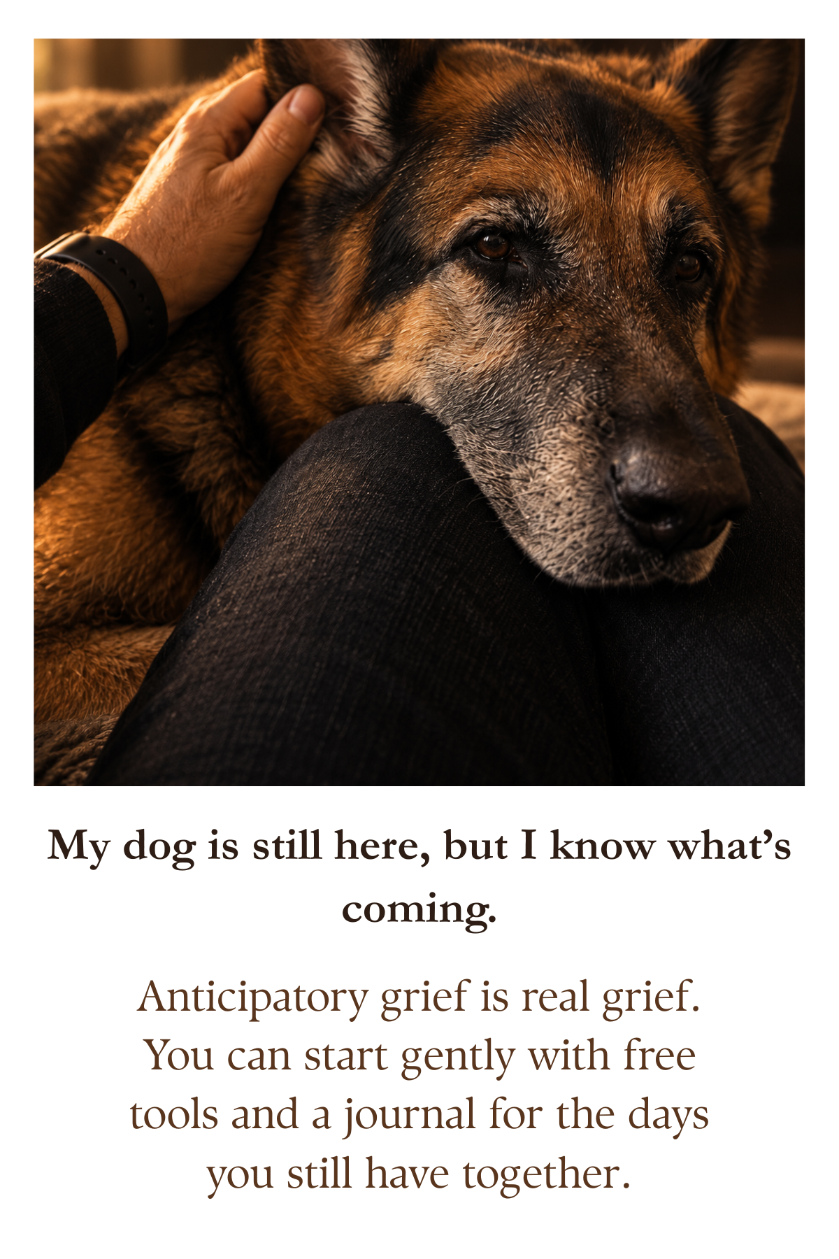 My dog is still here, but I know it's coming. Anticipatory grief.