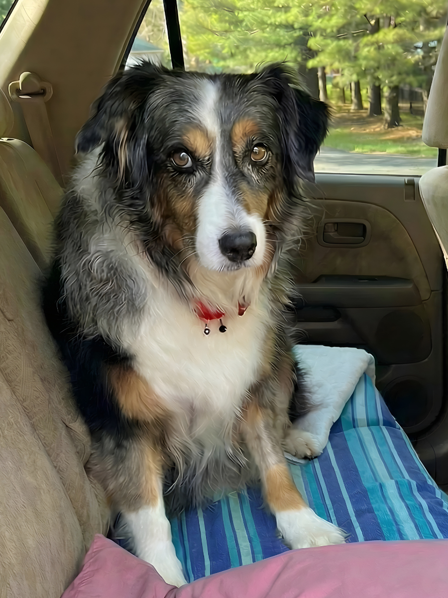 Anticipatory Grief Support from Cheyenne having his bucket list with a car ride