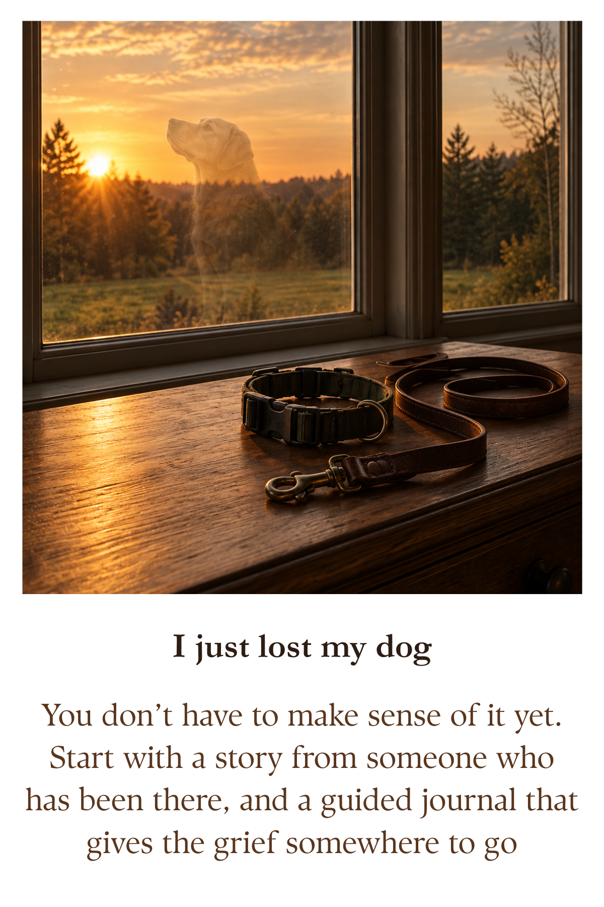 A picture of a dog collar and leash on a table by the window, and the window is a reflection of the dog they just lost.