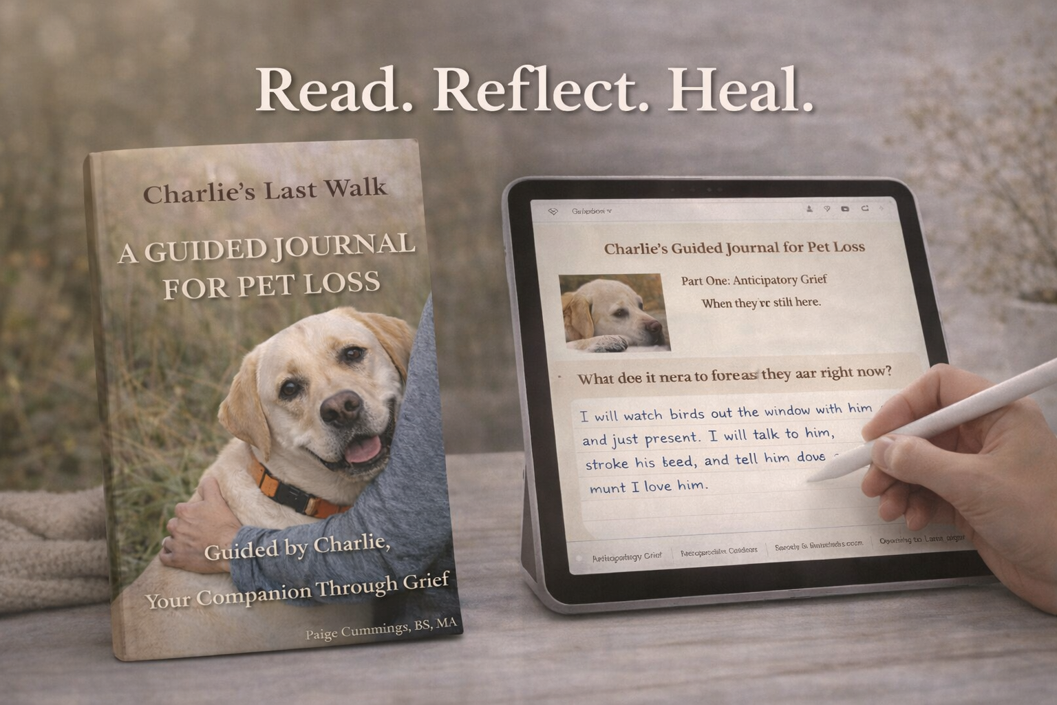 digital bundle read reflect heal.png