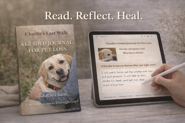 Read, Reflect, Heal — K9Hearts pet loss guided journal digital bundle