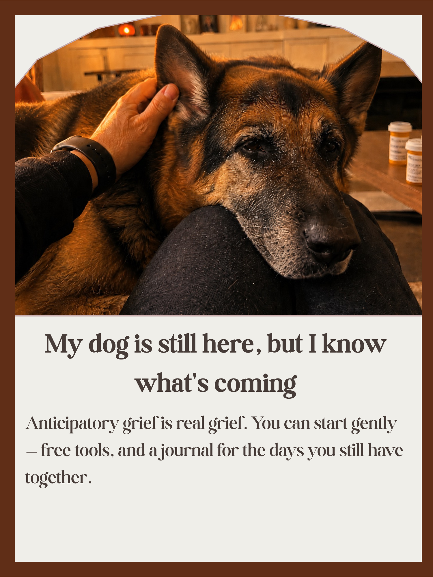 K9Hearts Anticipatory grief - A senior dog resting his head on his owner's knee.