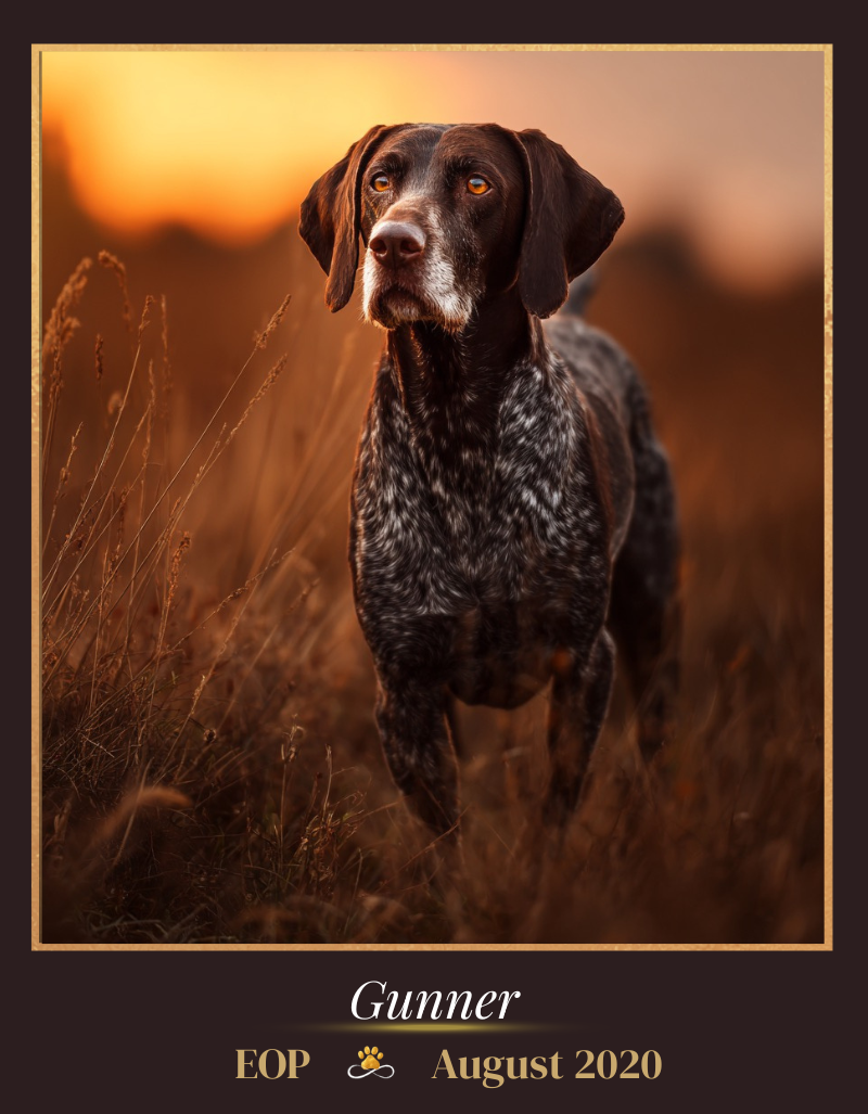 Gunner - EOP August 2020