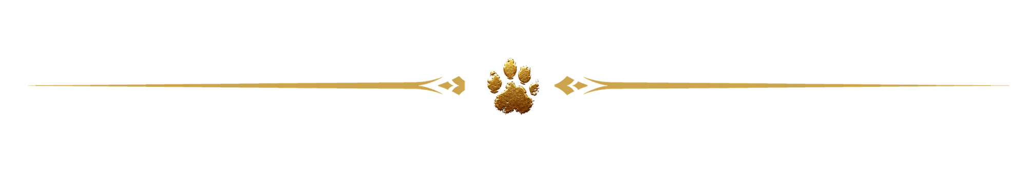 K9Hearts gold paw print divider line