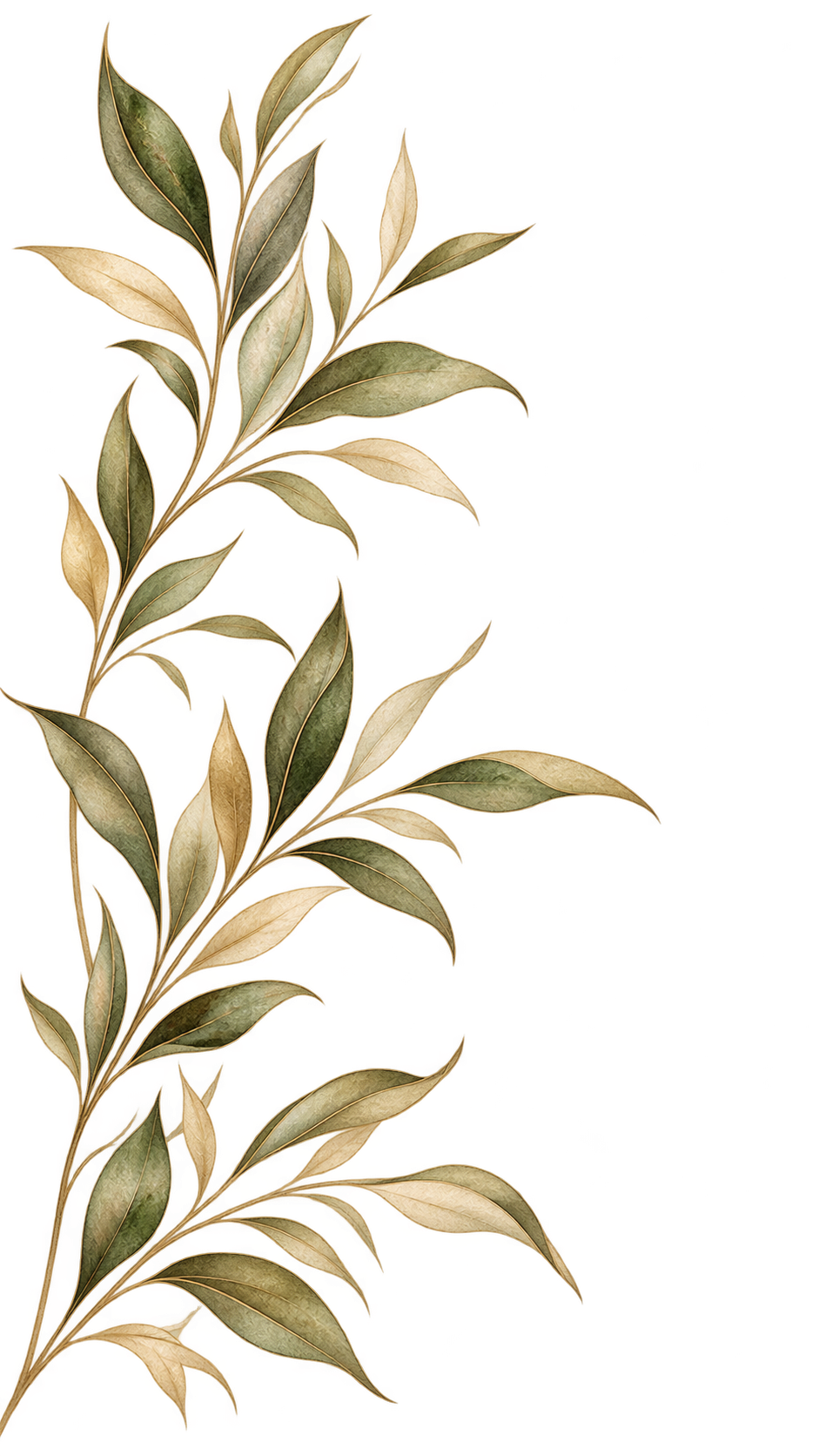 Green and gold decorative leaves.