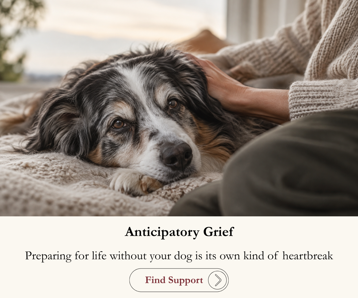 Anticipatory grief is preparing for life without them.