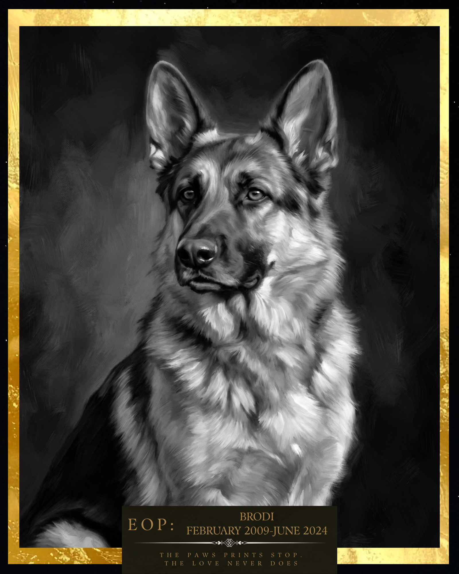 A german  Shepherd and a paw prints photo from K9Hearts
